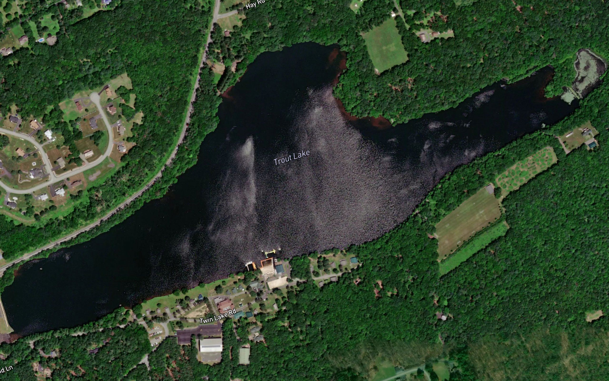Trout Lake