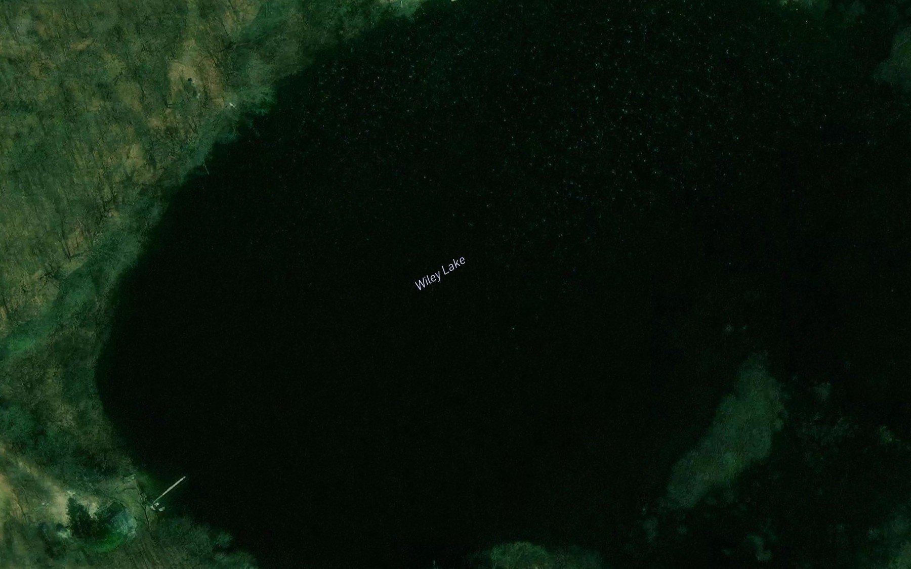 Satellite map of the Wiley Lake