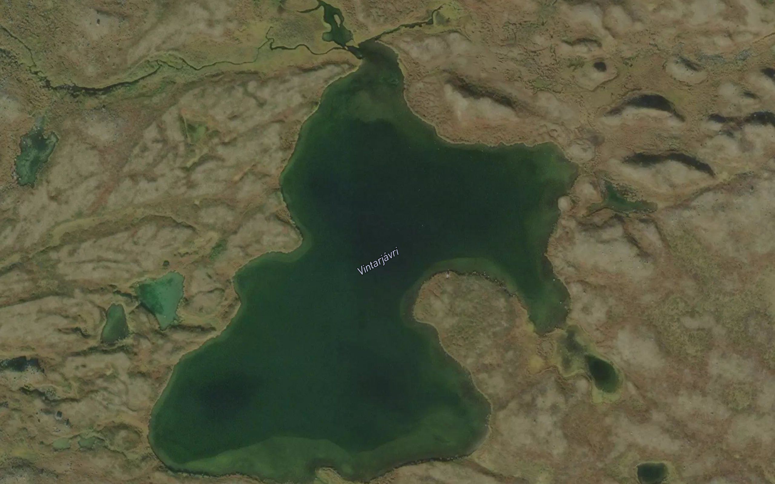 Vintarjavri