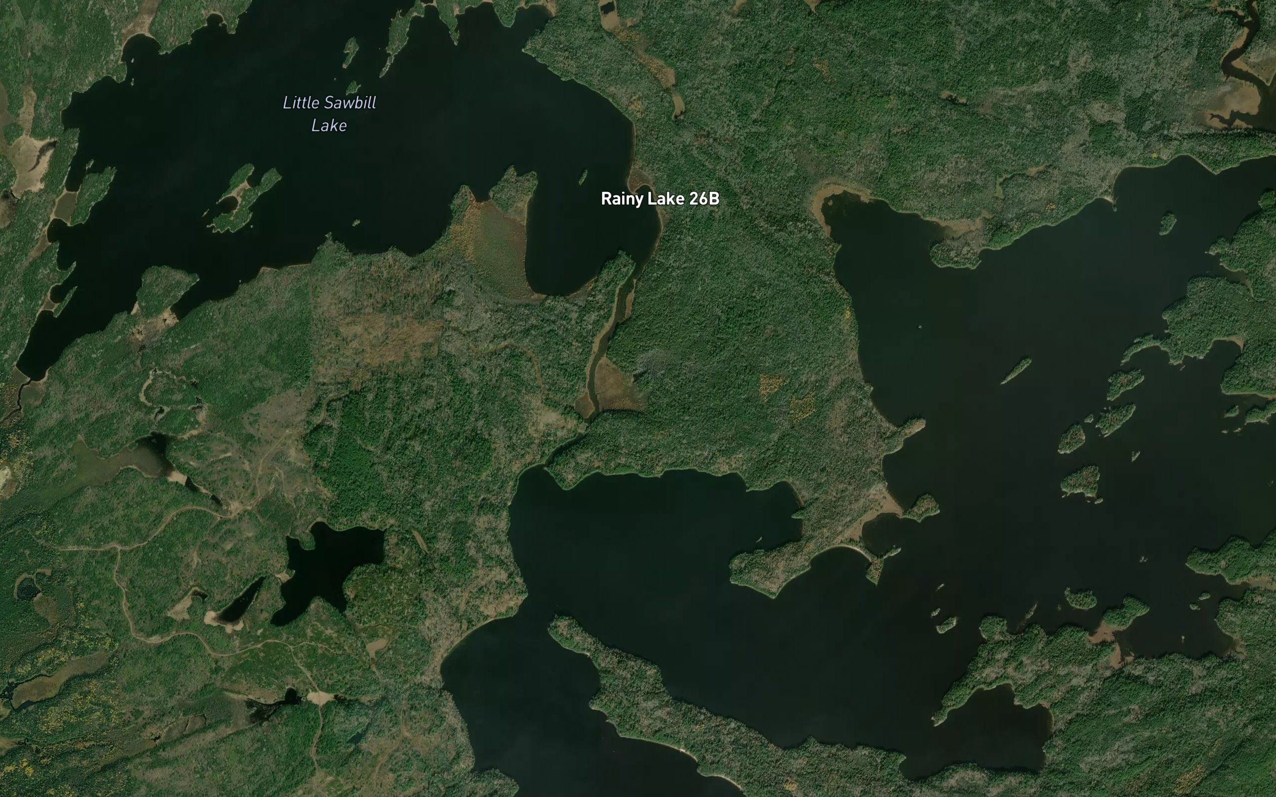 Muskeg Creek