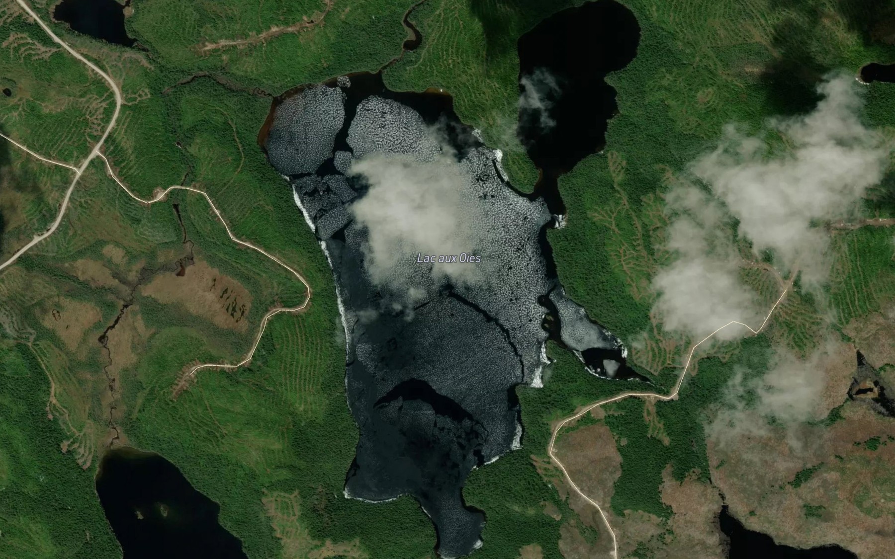 Satellite map of the Lac aux Oies