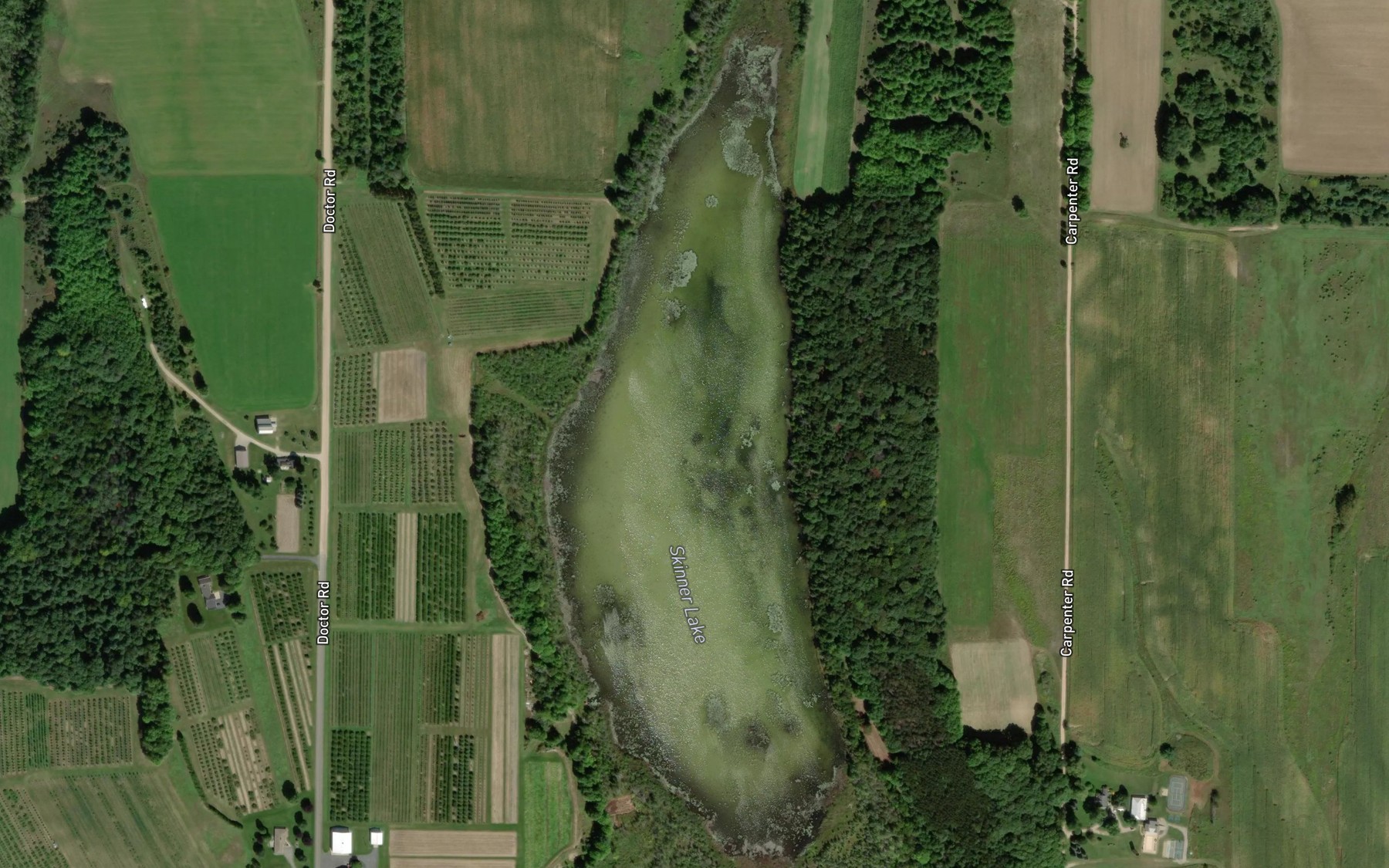 Satellite map of the Skinner Lake