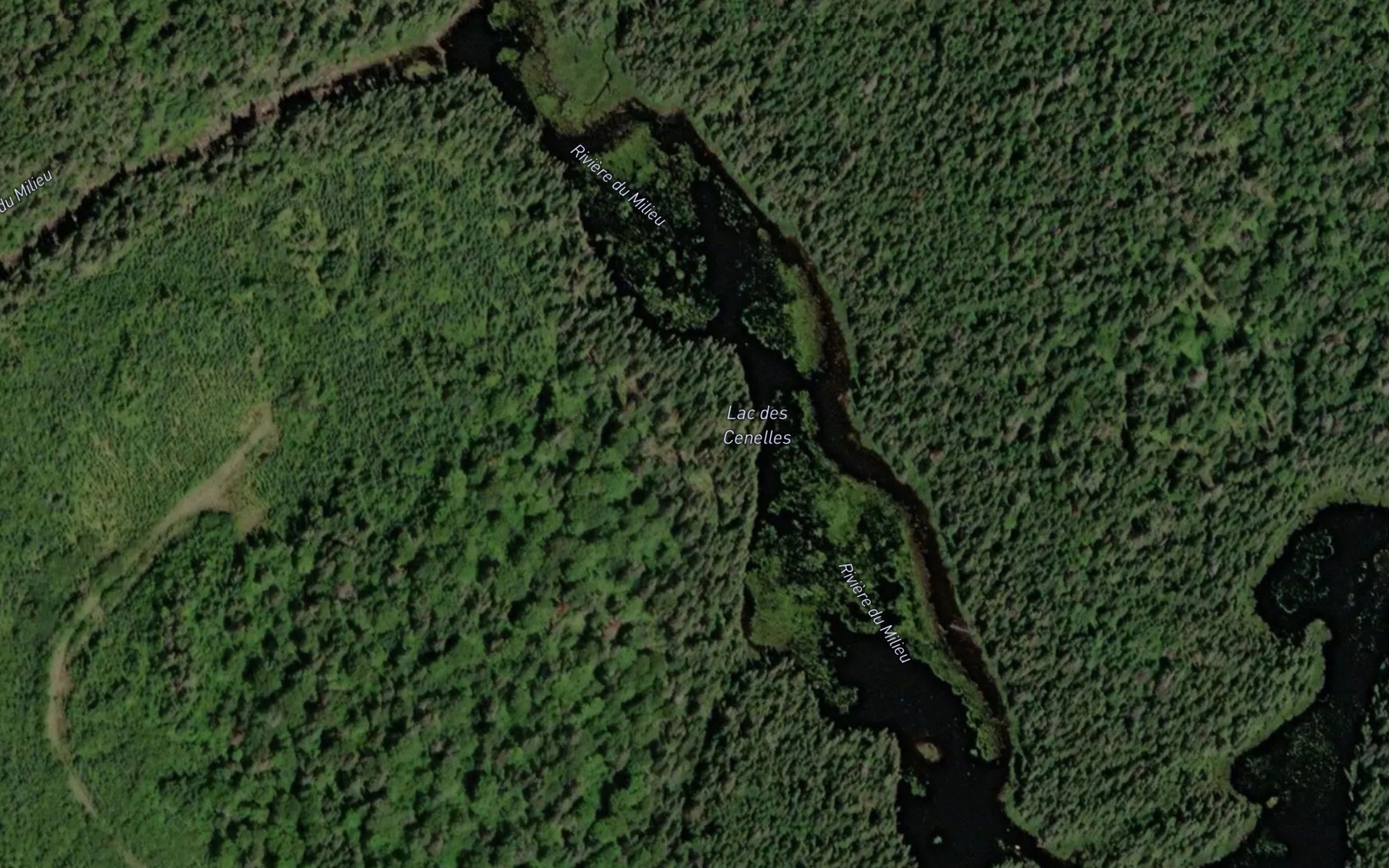 Satellite map of the Lac des Cenelles