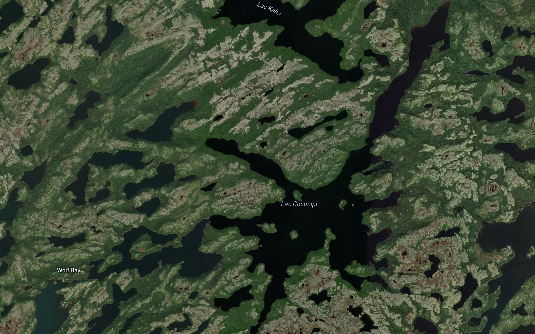 Satellite map of the Lac Coconipi