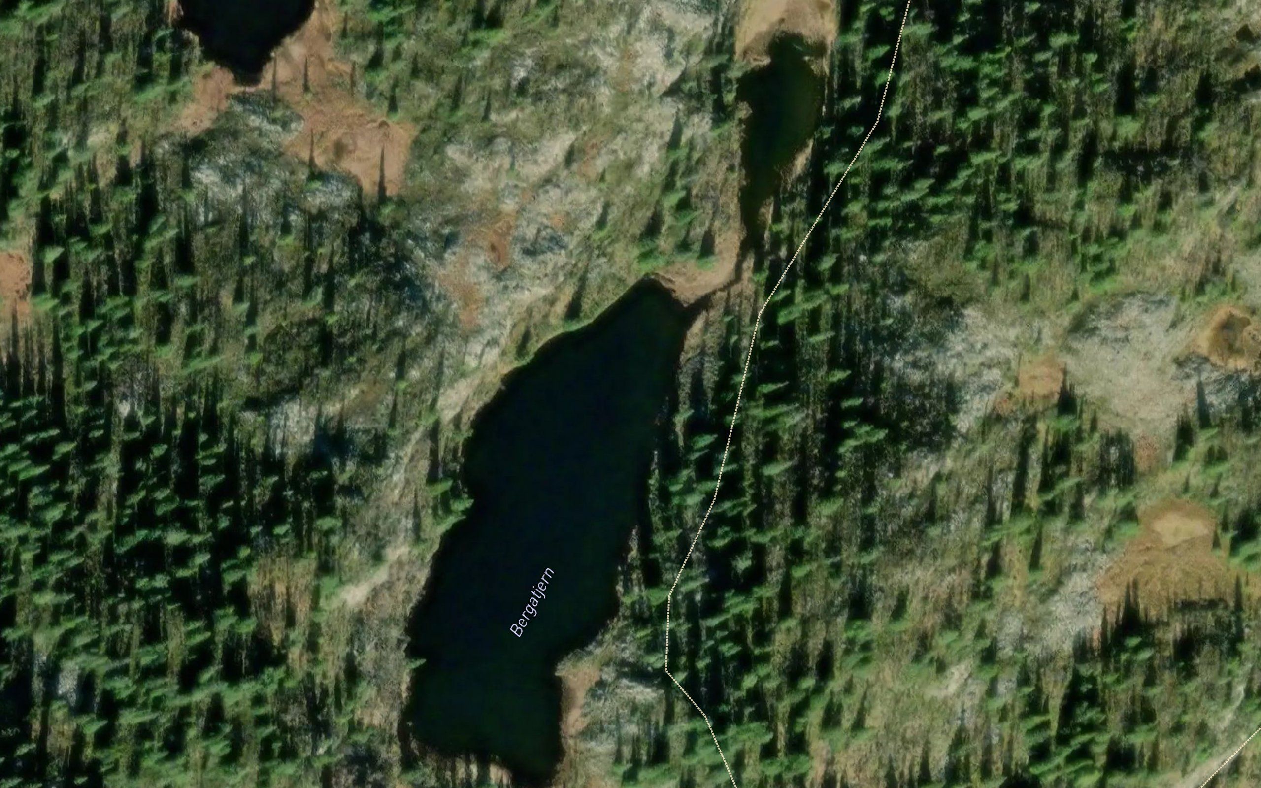 Bergatjern