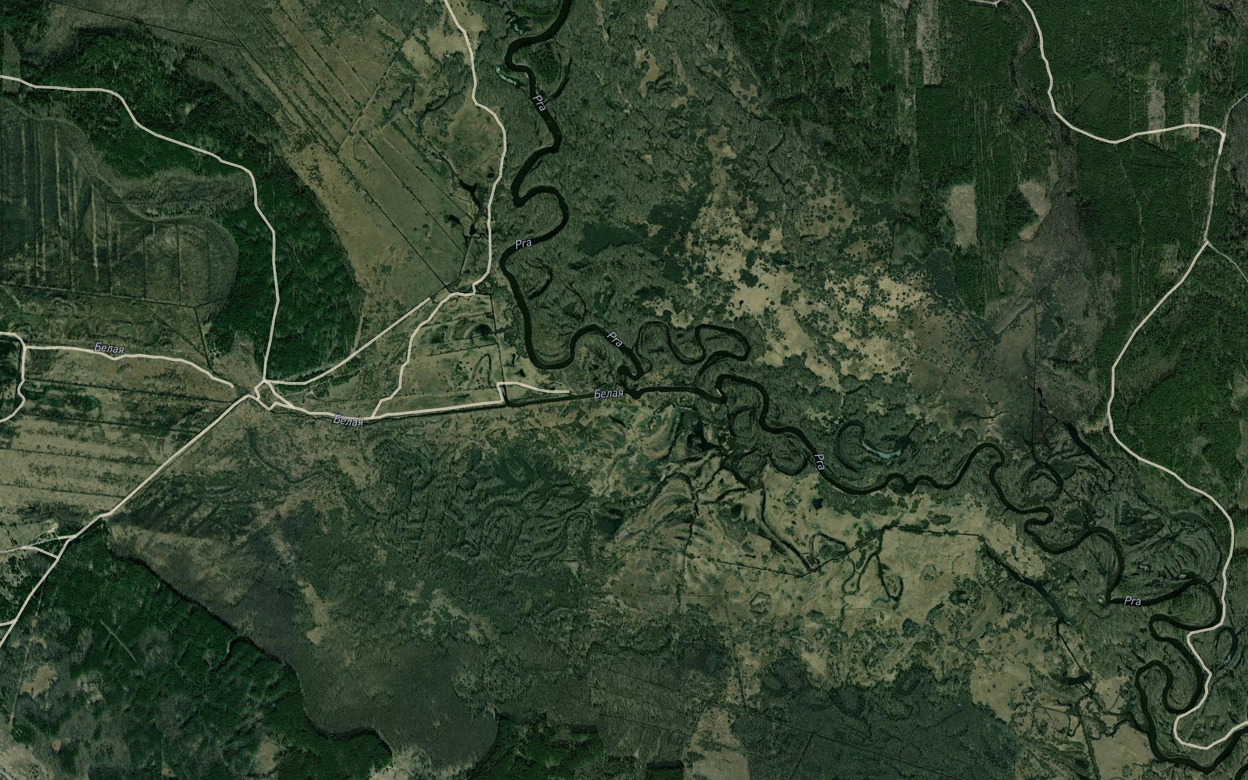 Belaya