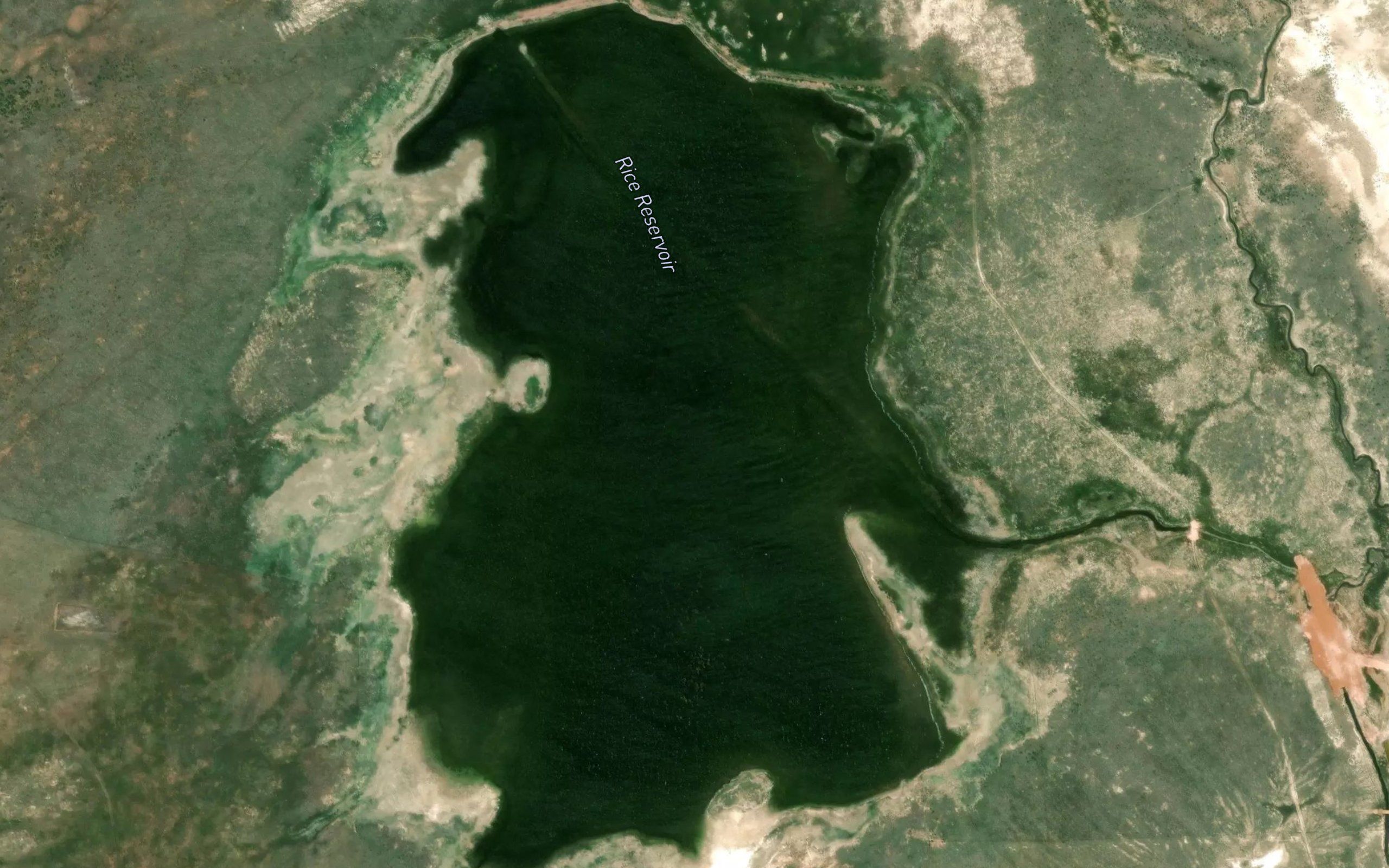 Rice Reservoir