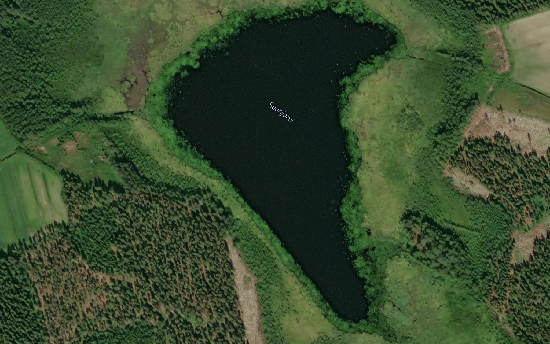 Satellite map of the Suurijarvi