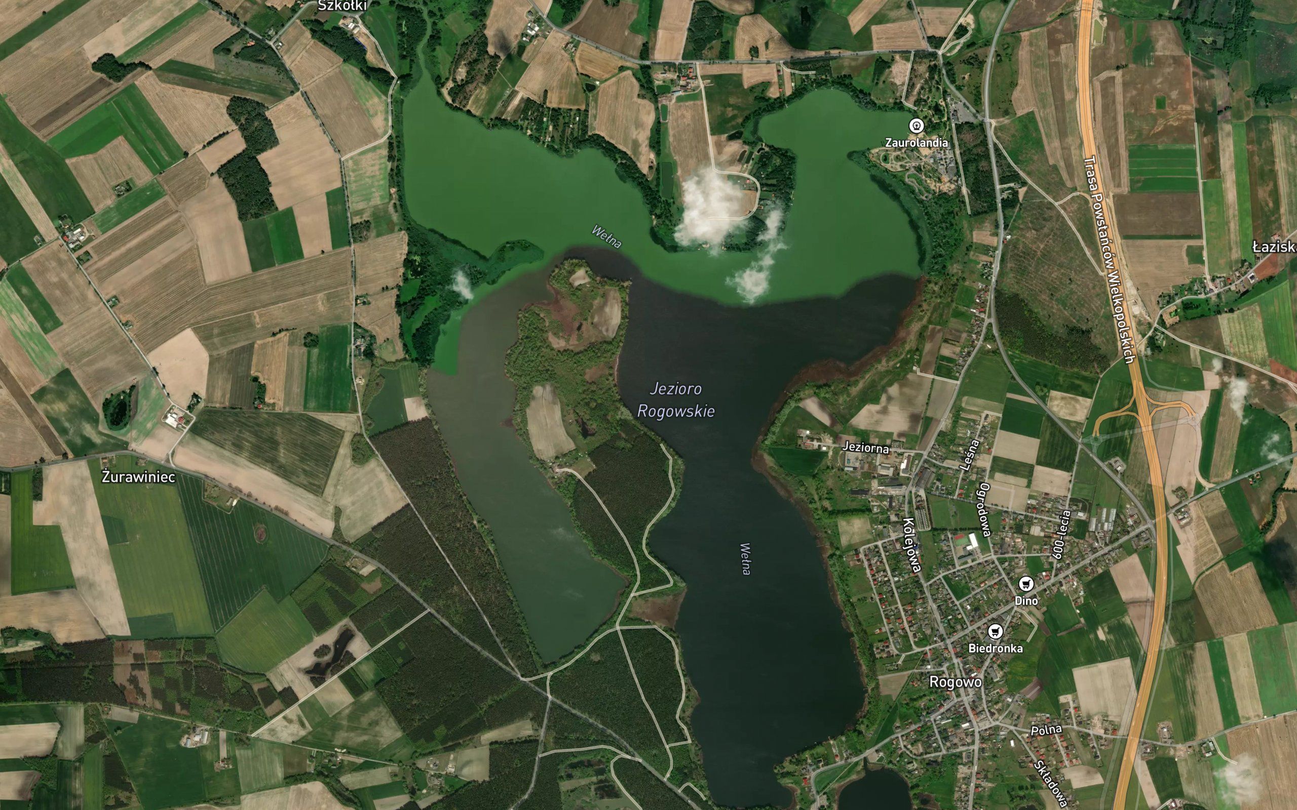 Jezioro Rogowskie