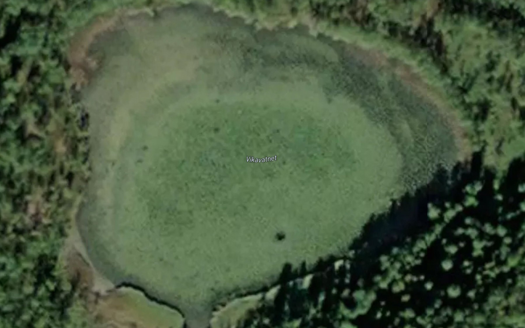 Satellite map of the Vikavatnet