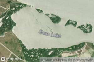Swan Lake