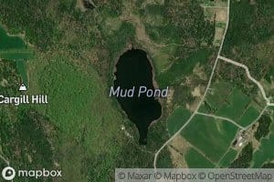 Mud Pond
