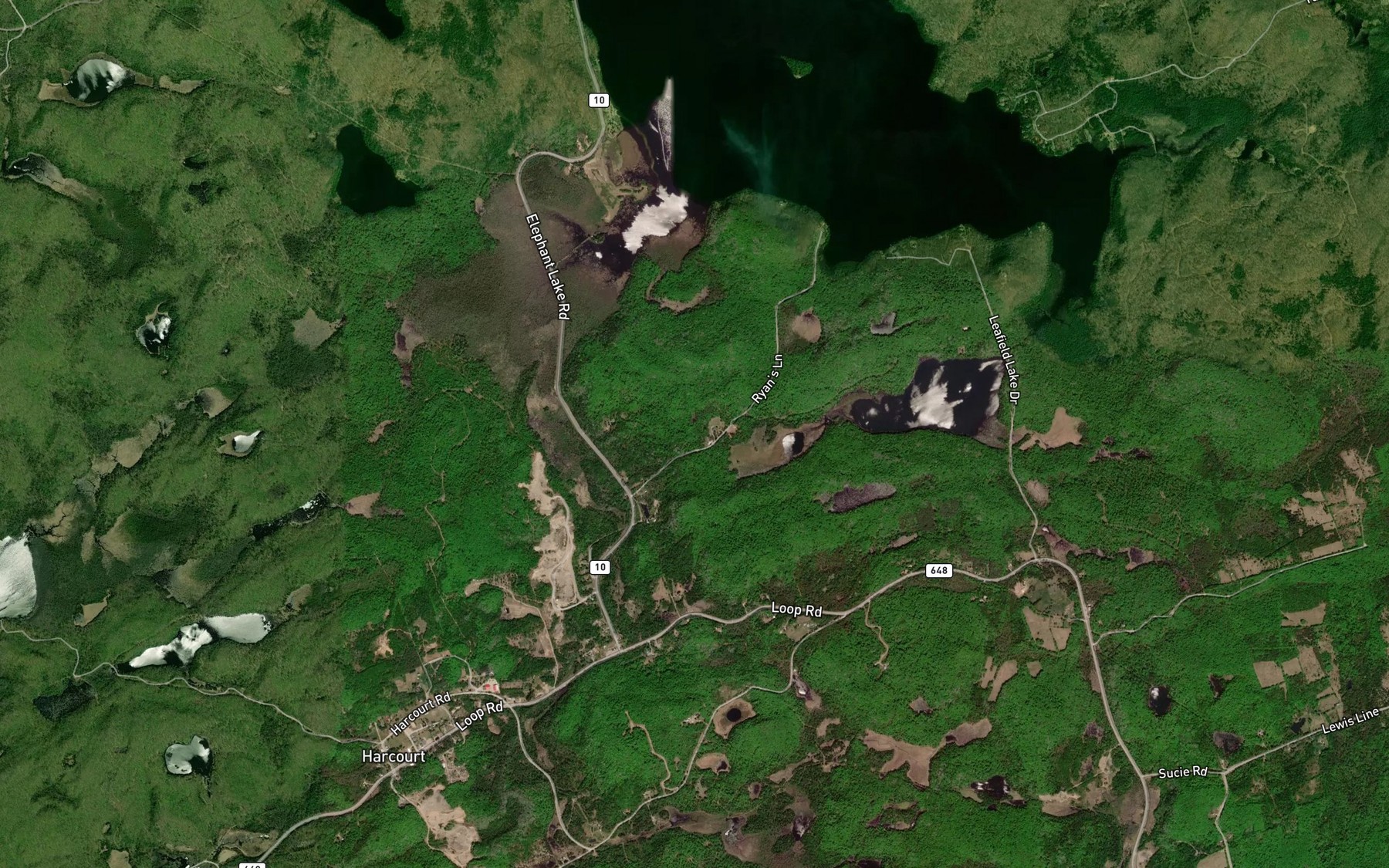 Satellite map of the Elephant Creek