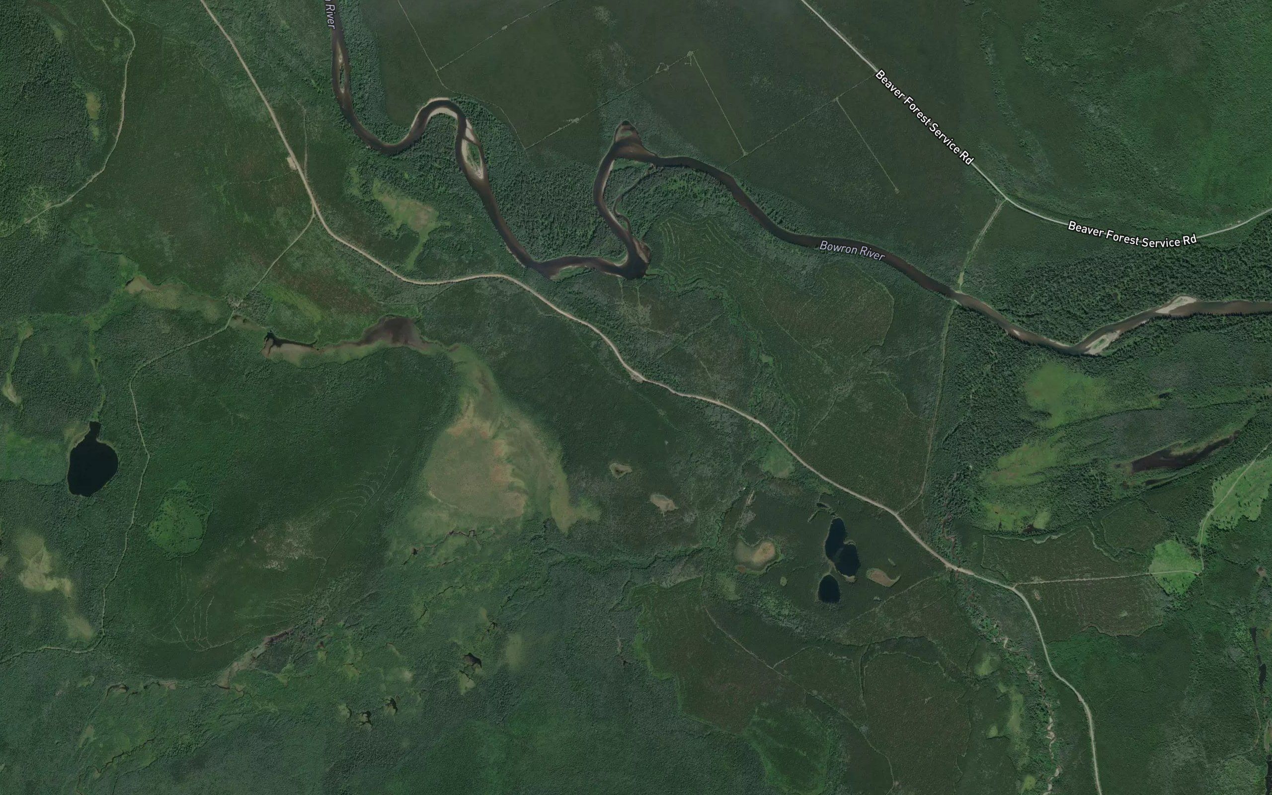 Swamp Creek