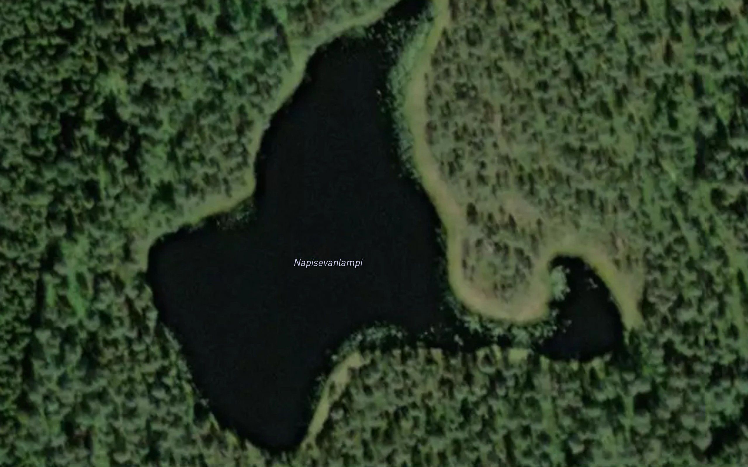 Napisevanlampi