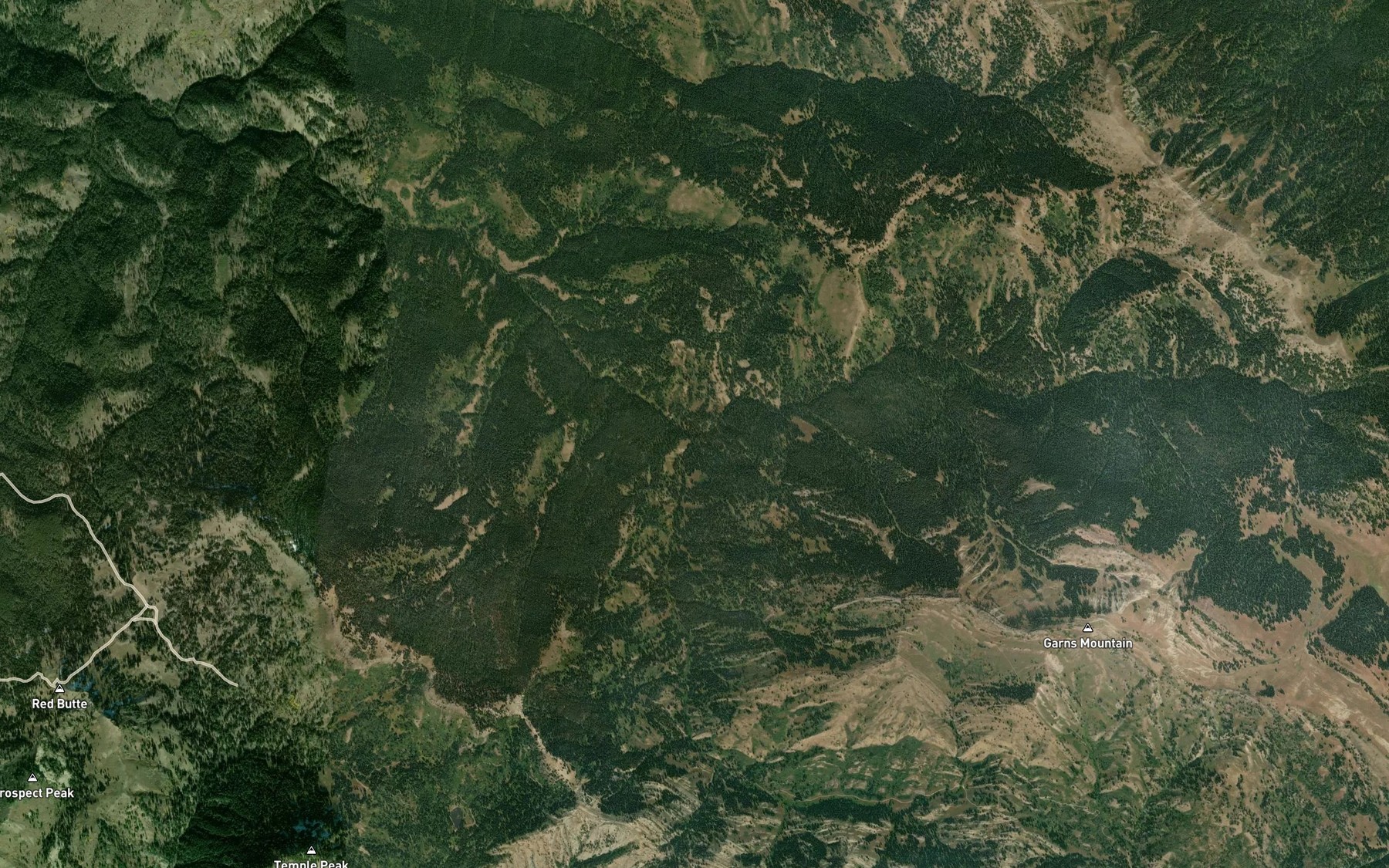 Satellite map of the Blacktail Creek