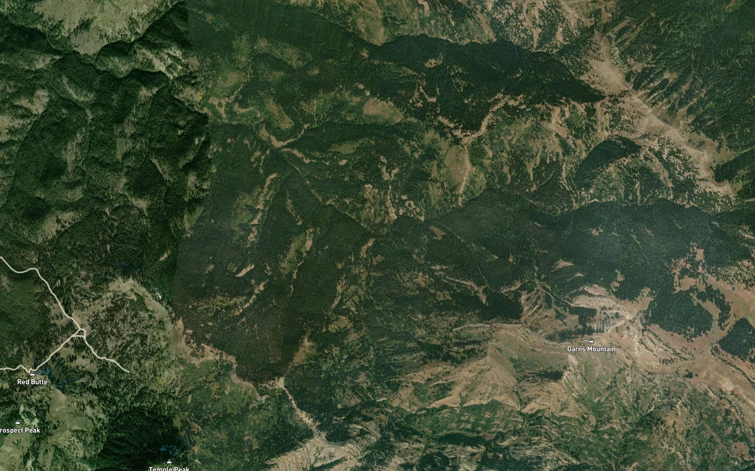 Blacktail Creek