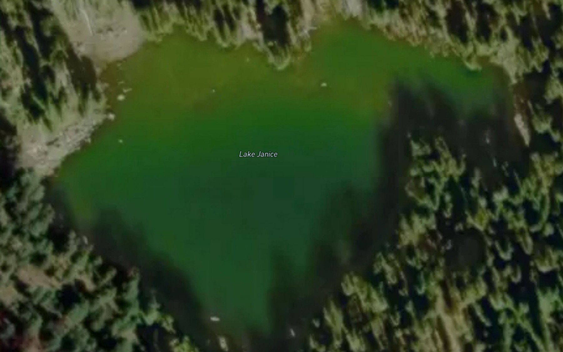 Satellite map of the Lake Janice
