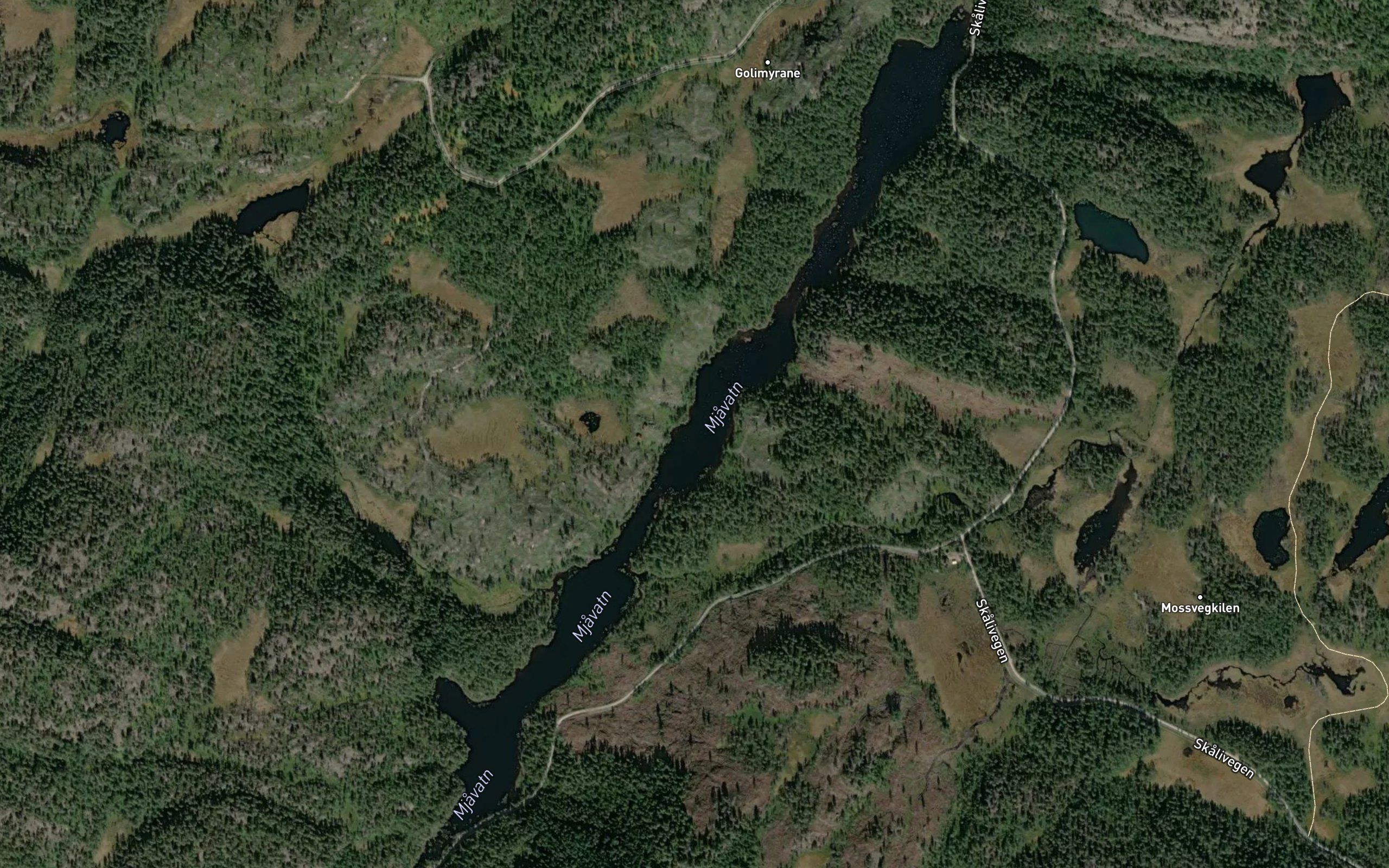Mjavatn