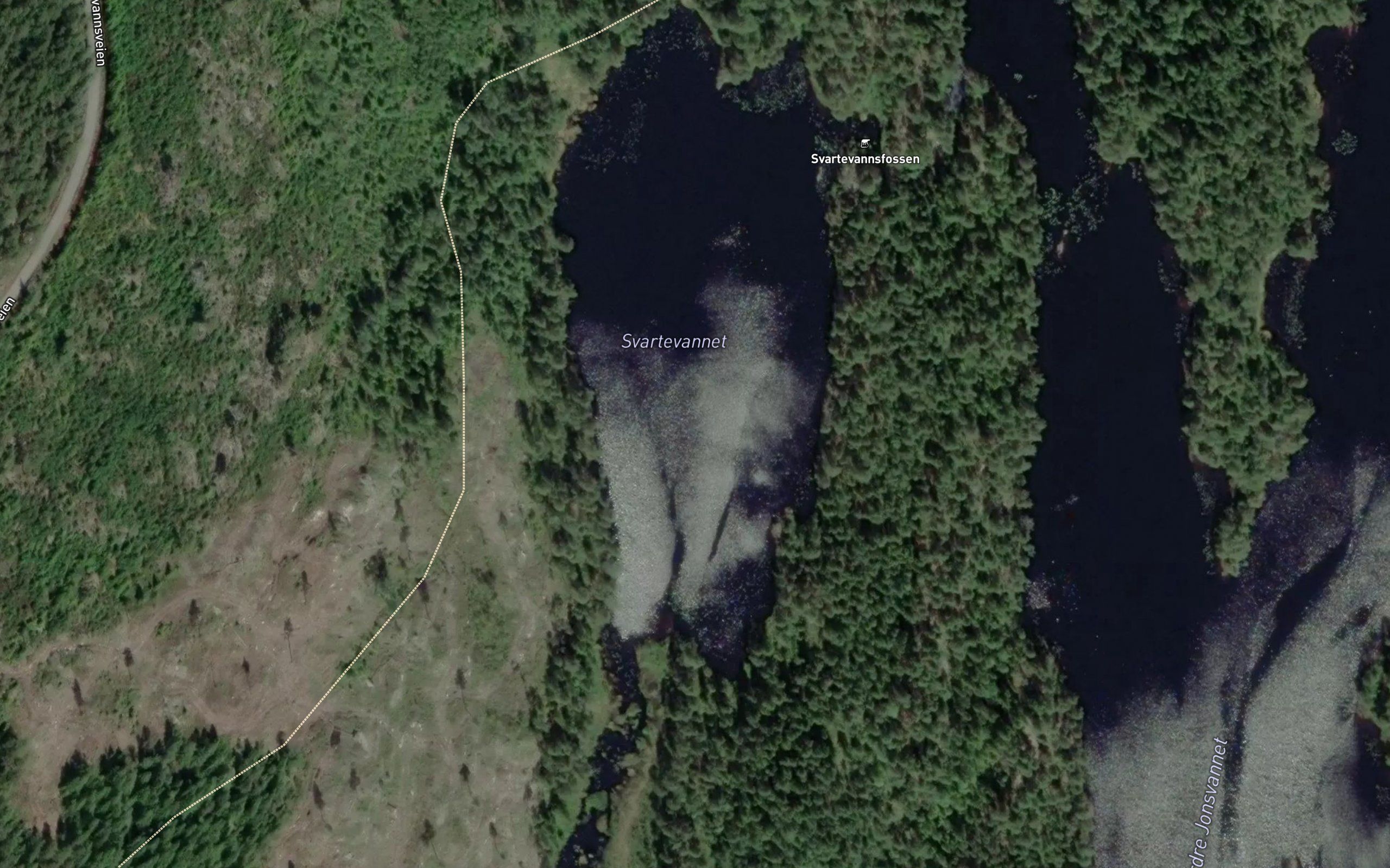 Svartevannet