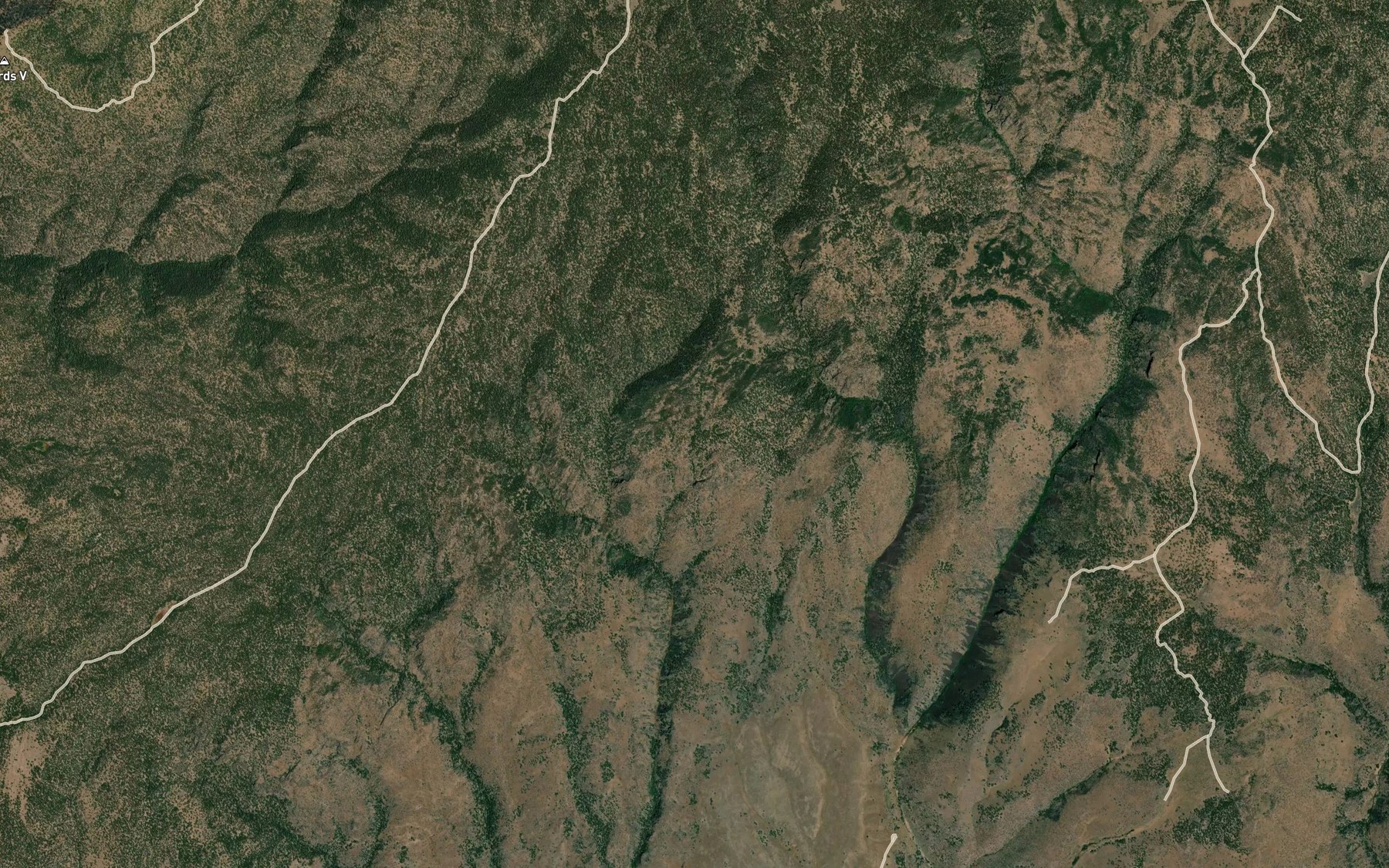 Satellite map of the Wildhorse Springs