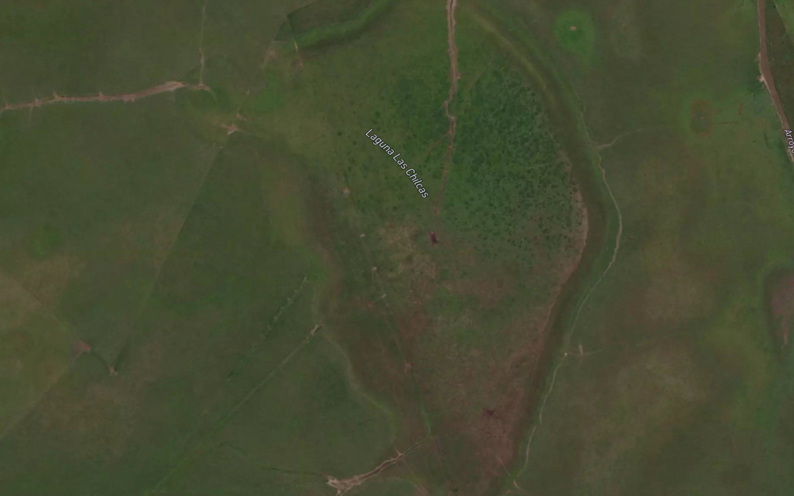Laguna Las Chilcas