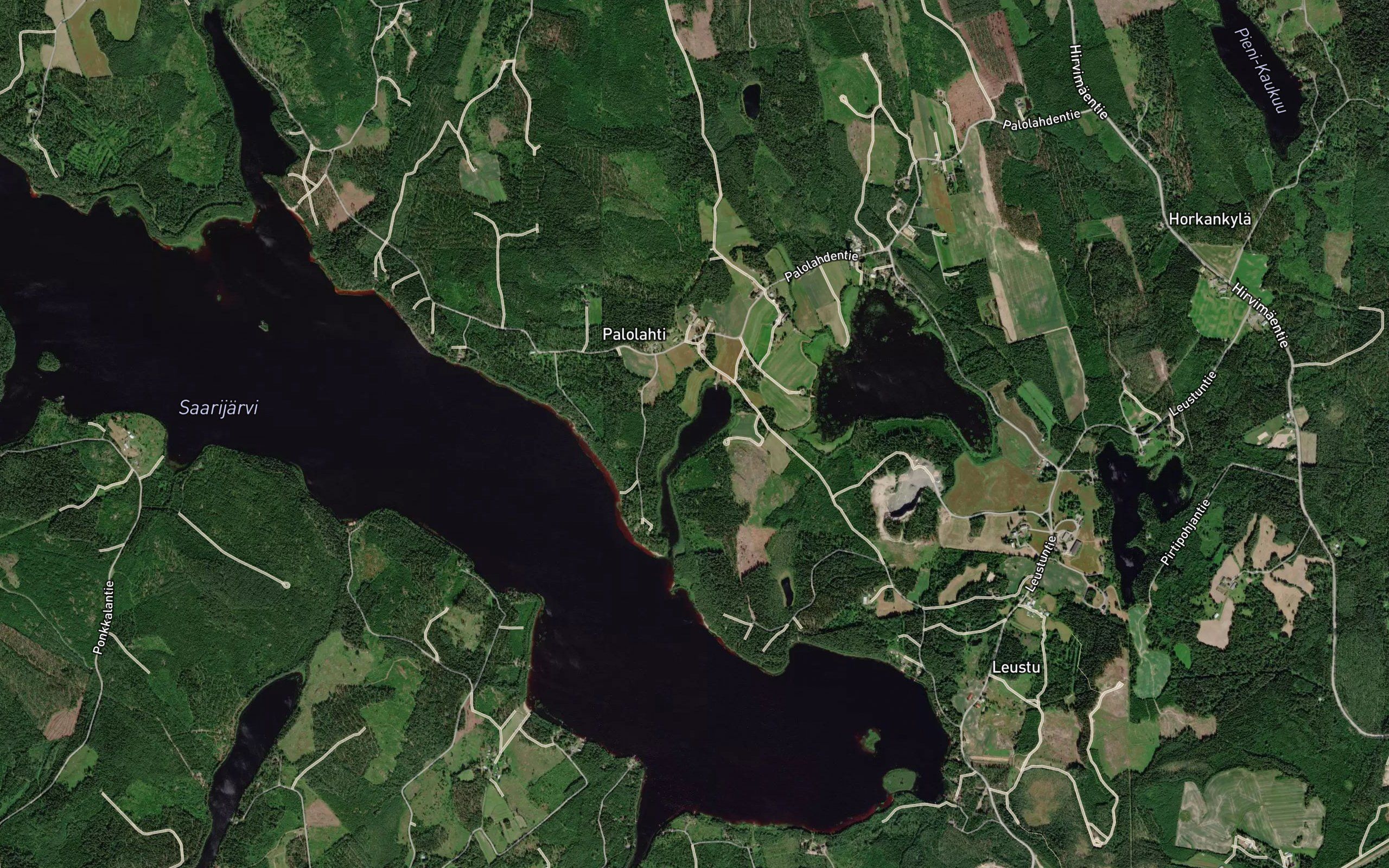 Palolahti