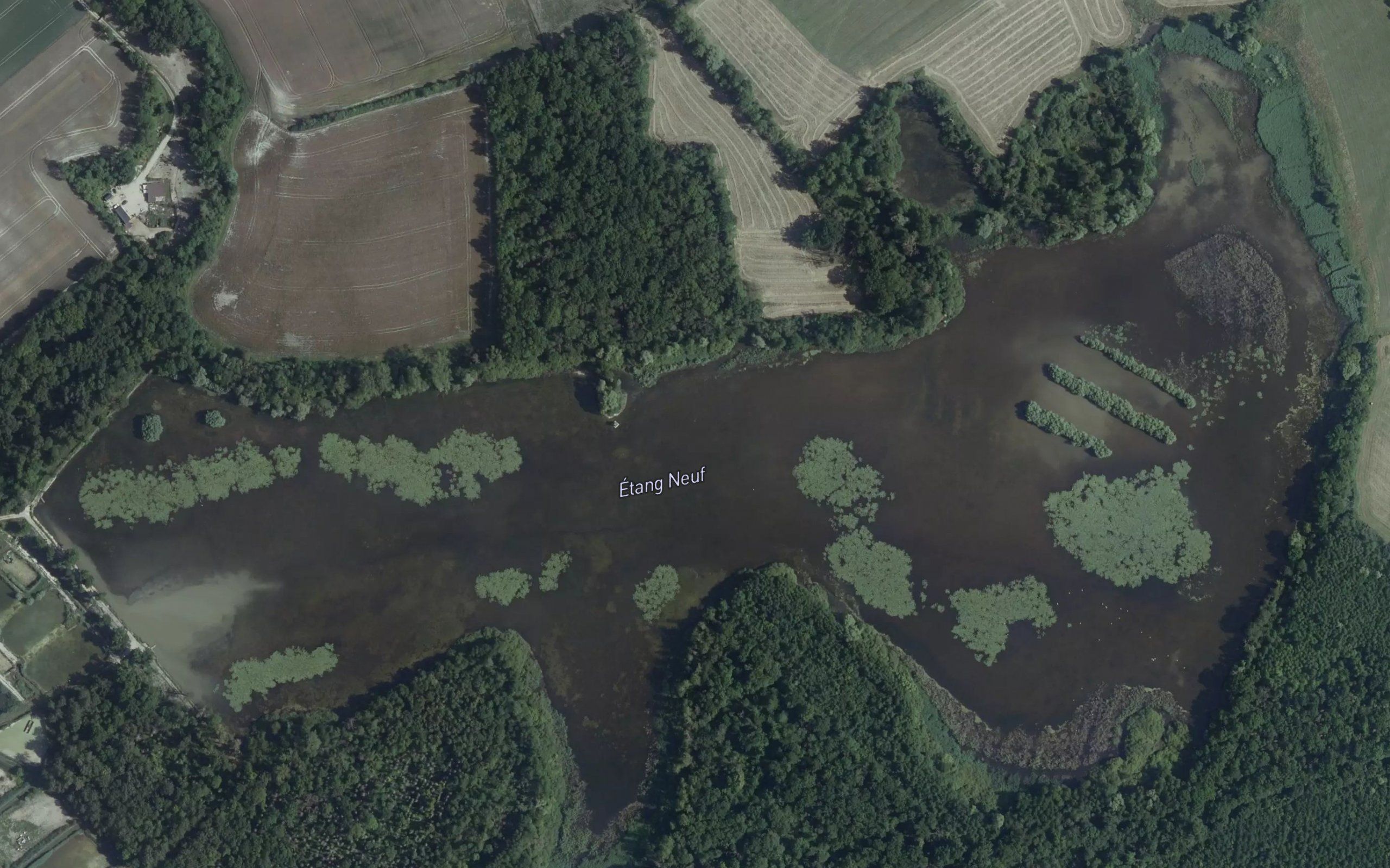 Etang Neuf