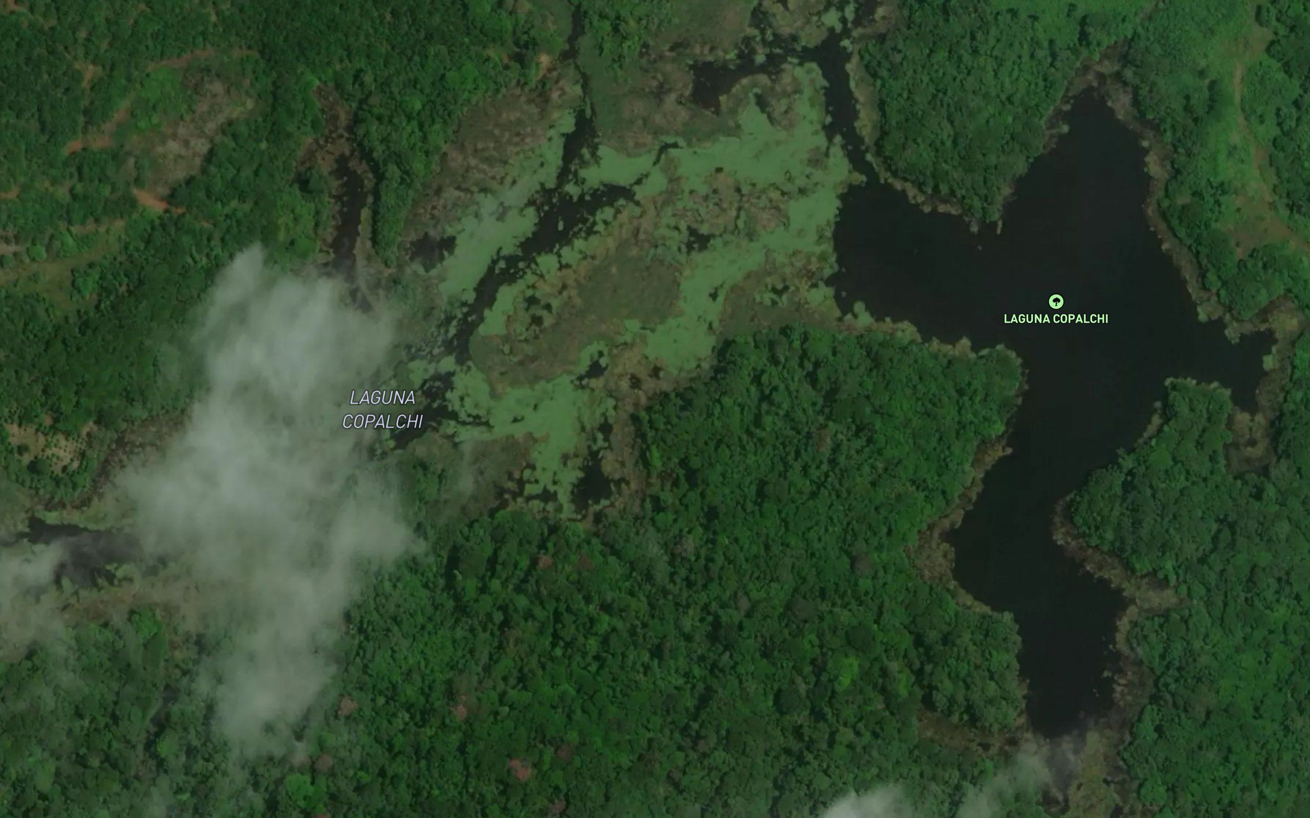 Laguna Copalchi