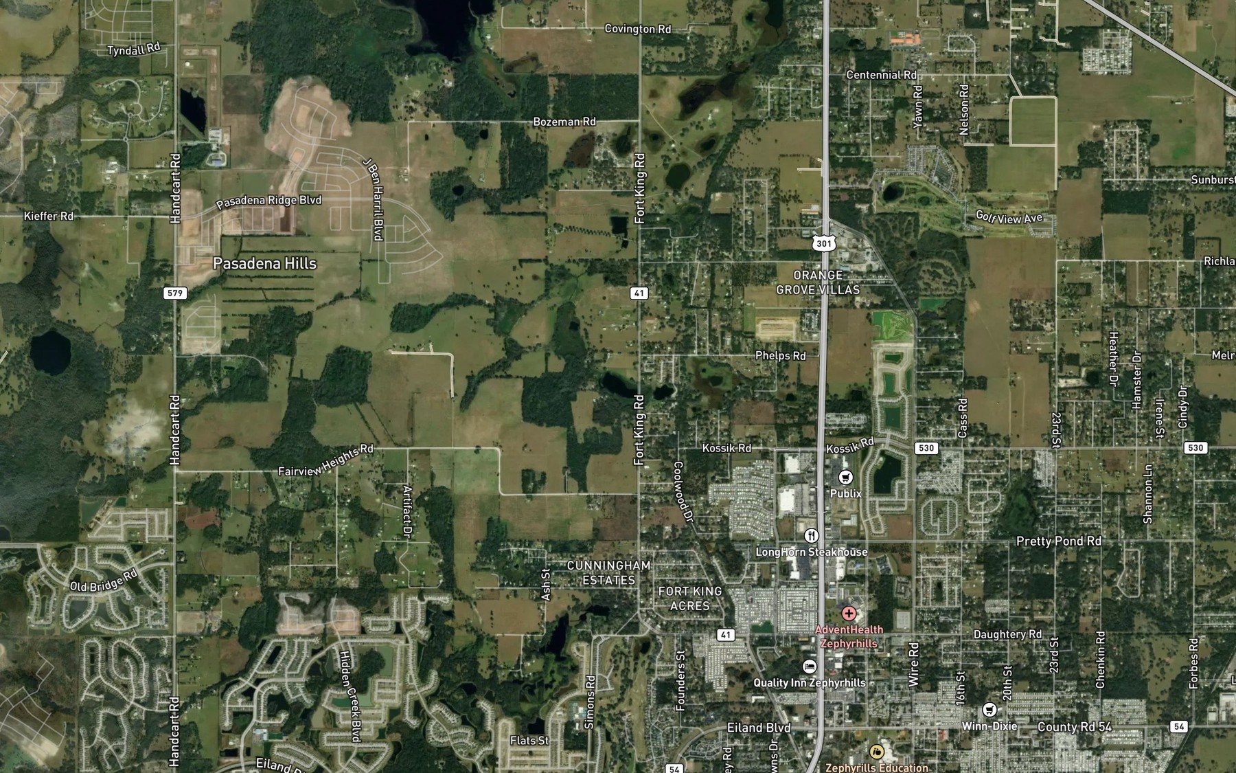 Satellite map of the Bird Lake