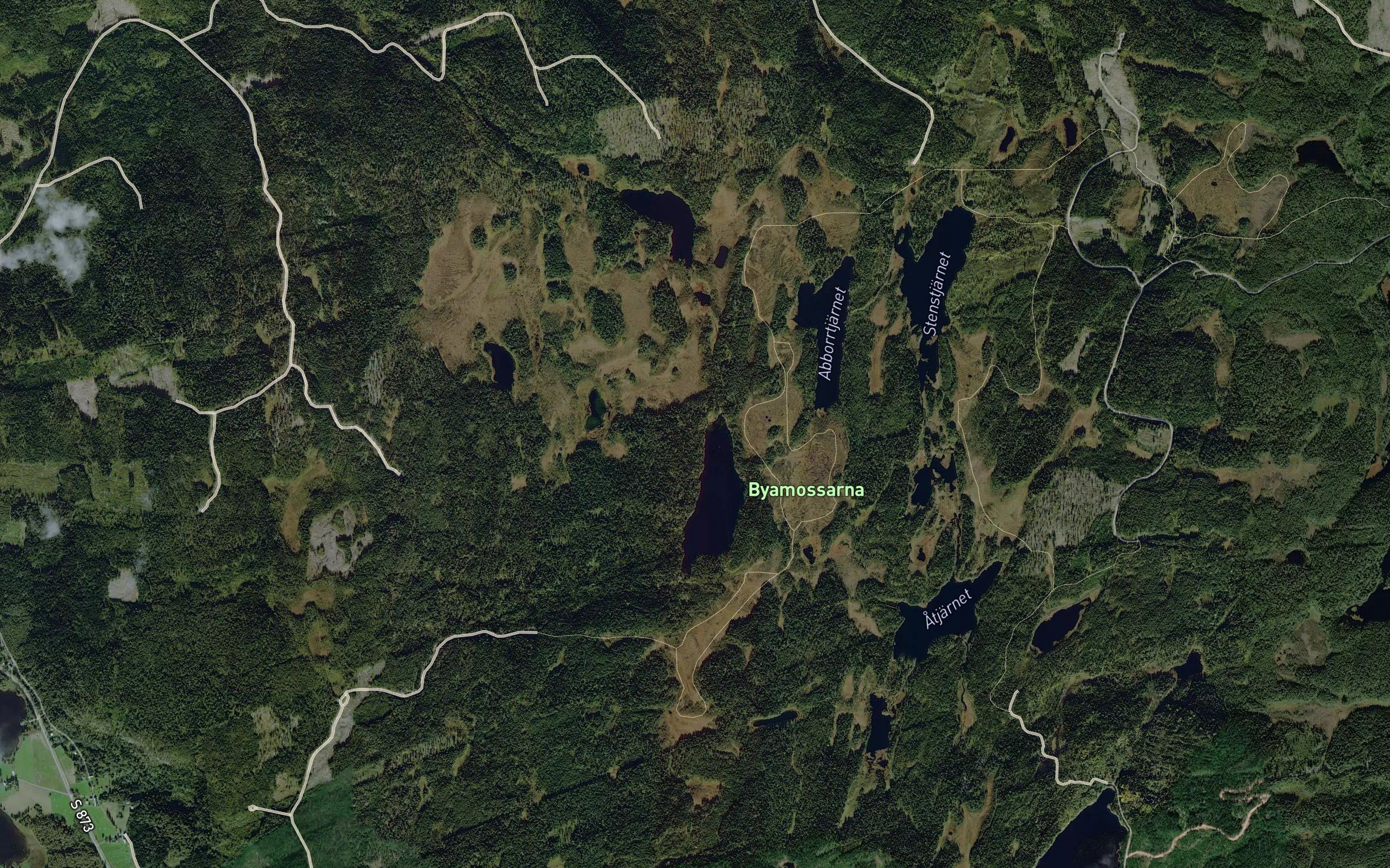 Damstjarn