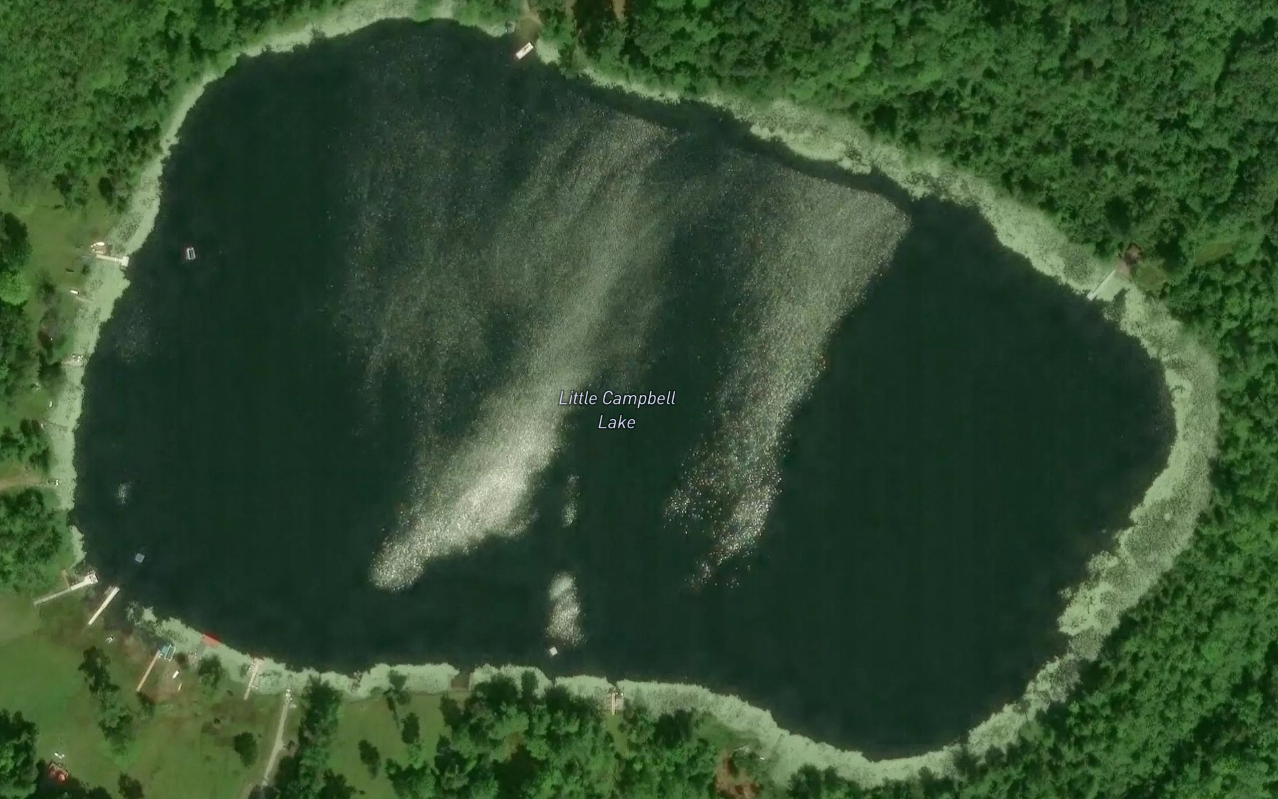 Satellite map of the Little Campbell Lake