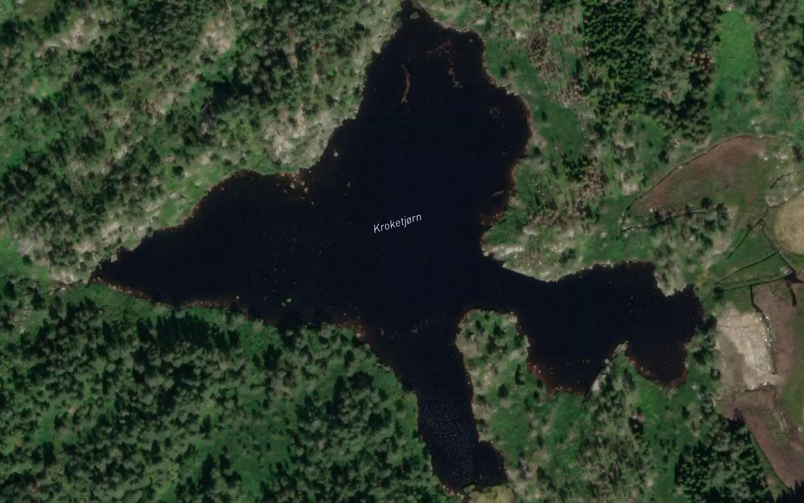 Kroketjorn