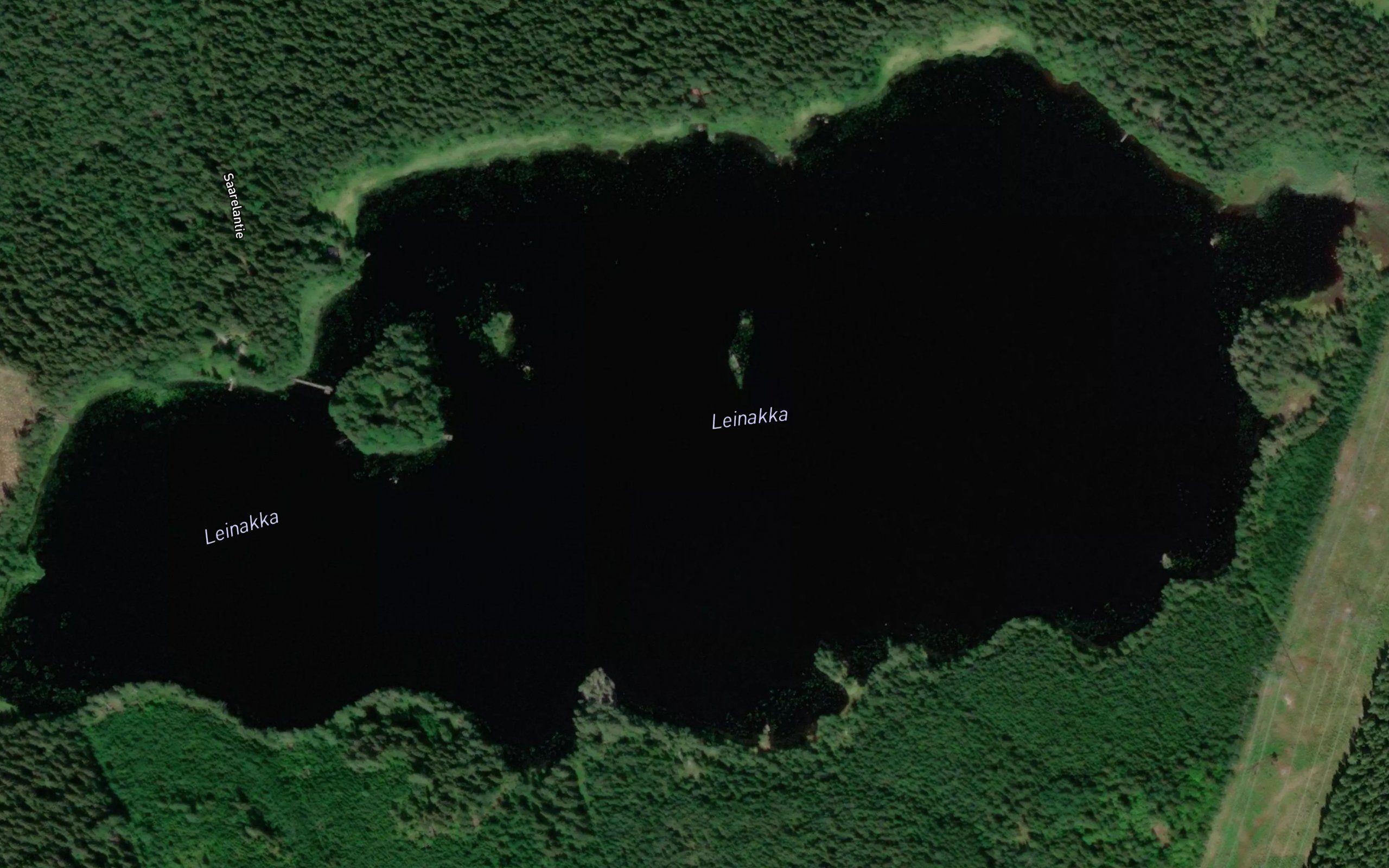 Leinakka