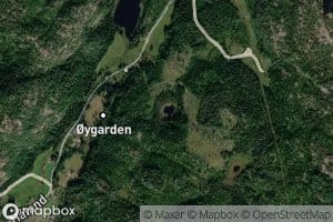 Kringletjonn