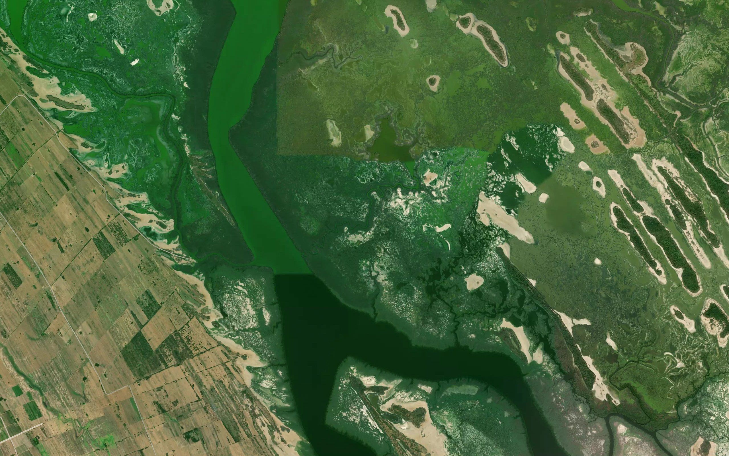 La Lagunilla