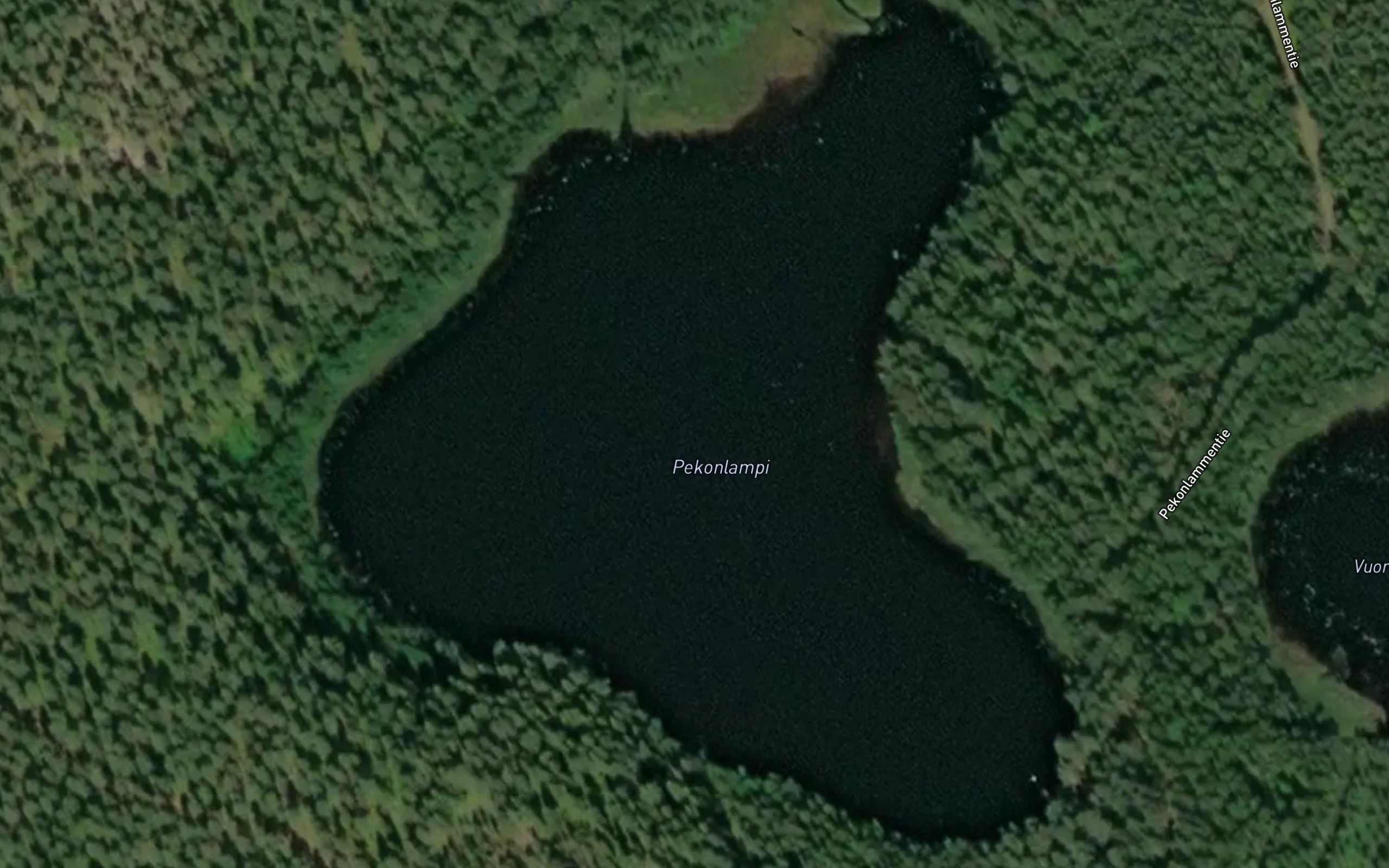 Pekonlampi
