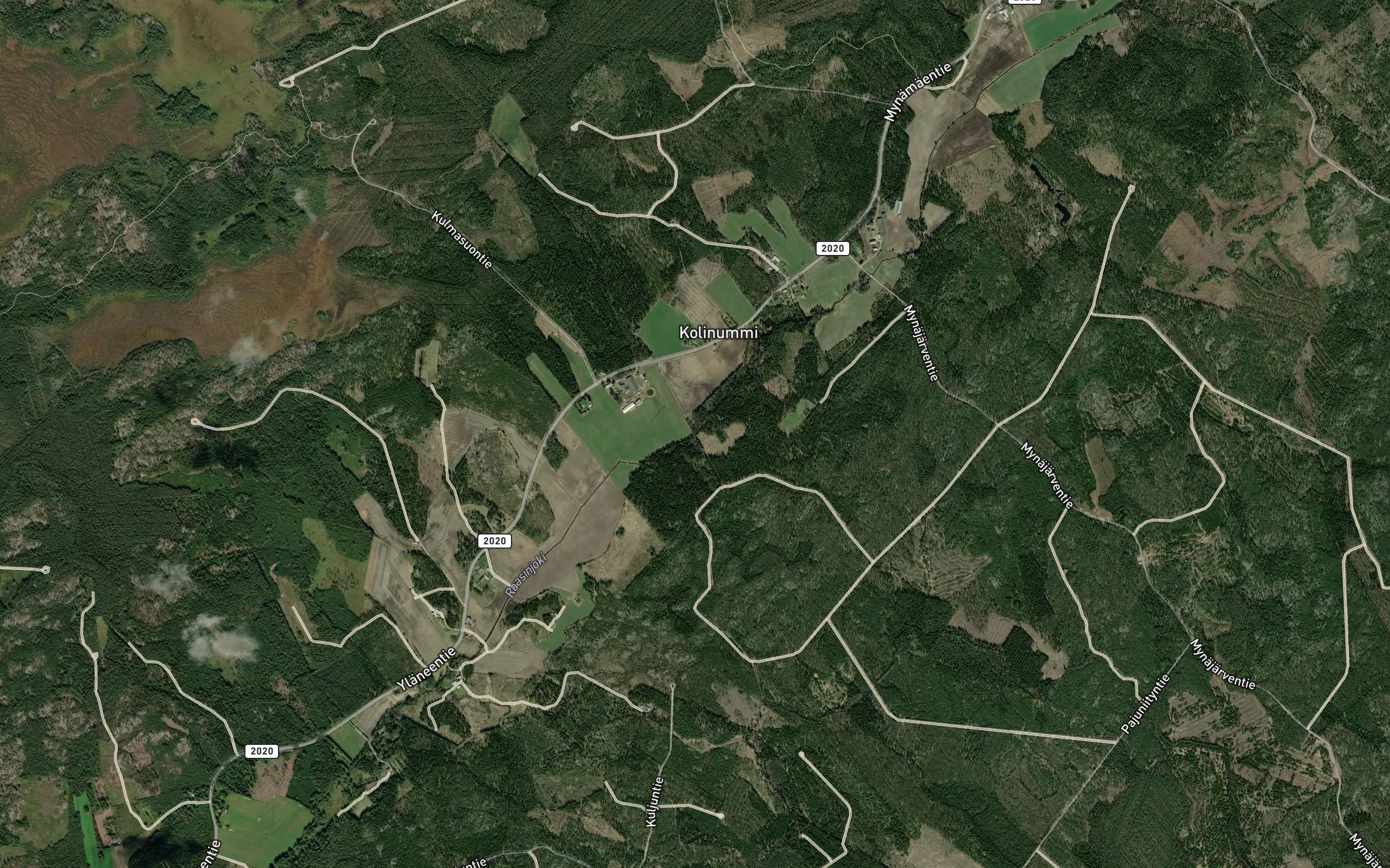Raasinoja
