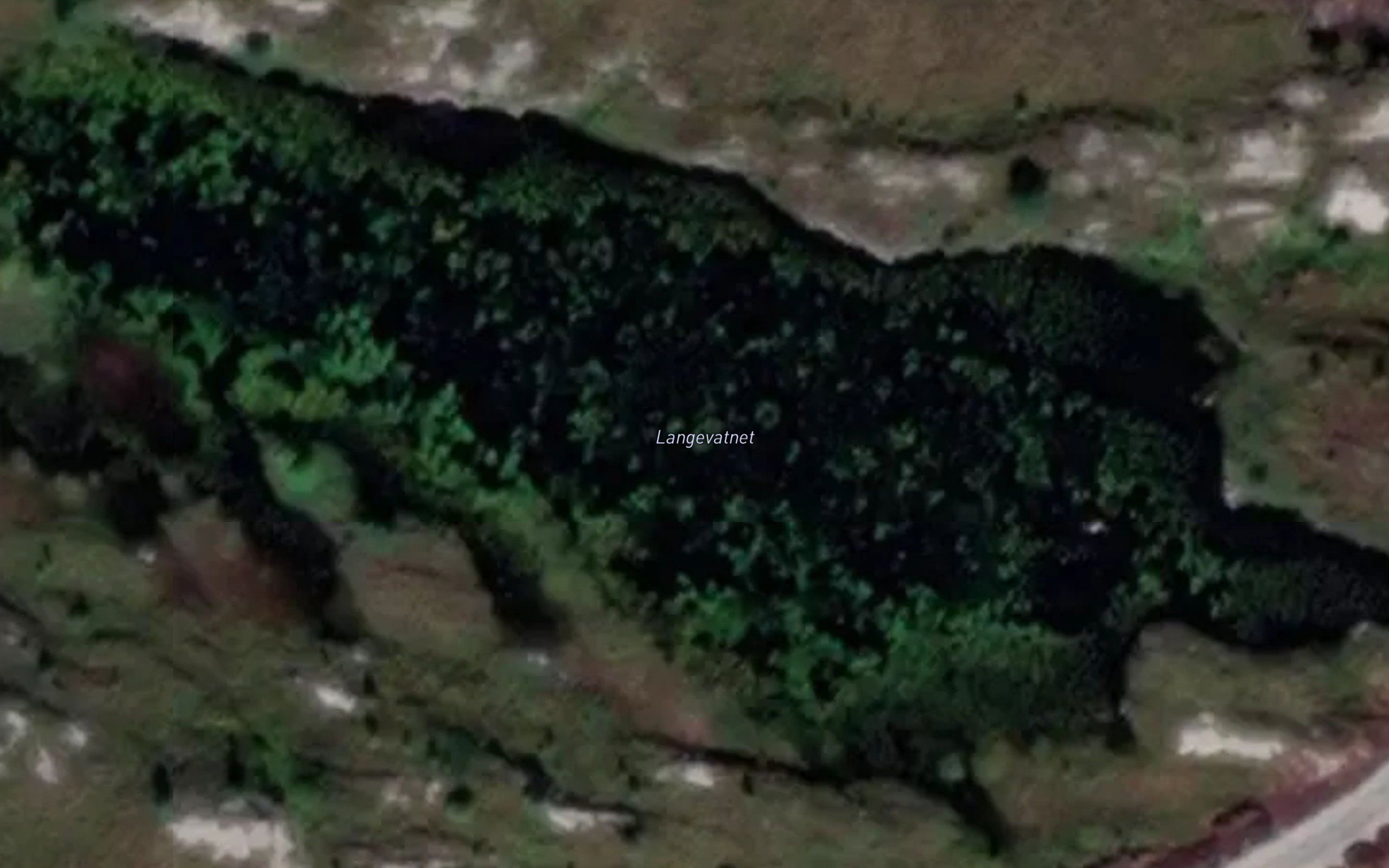 Langevatnet