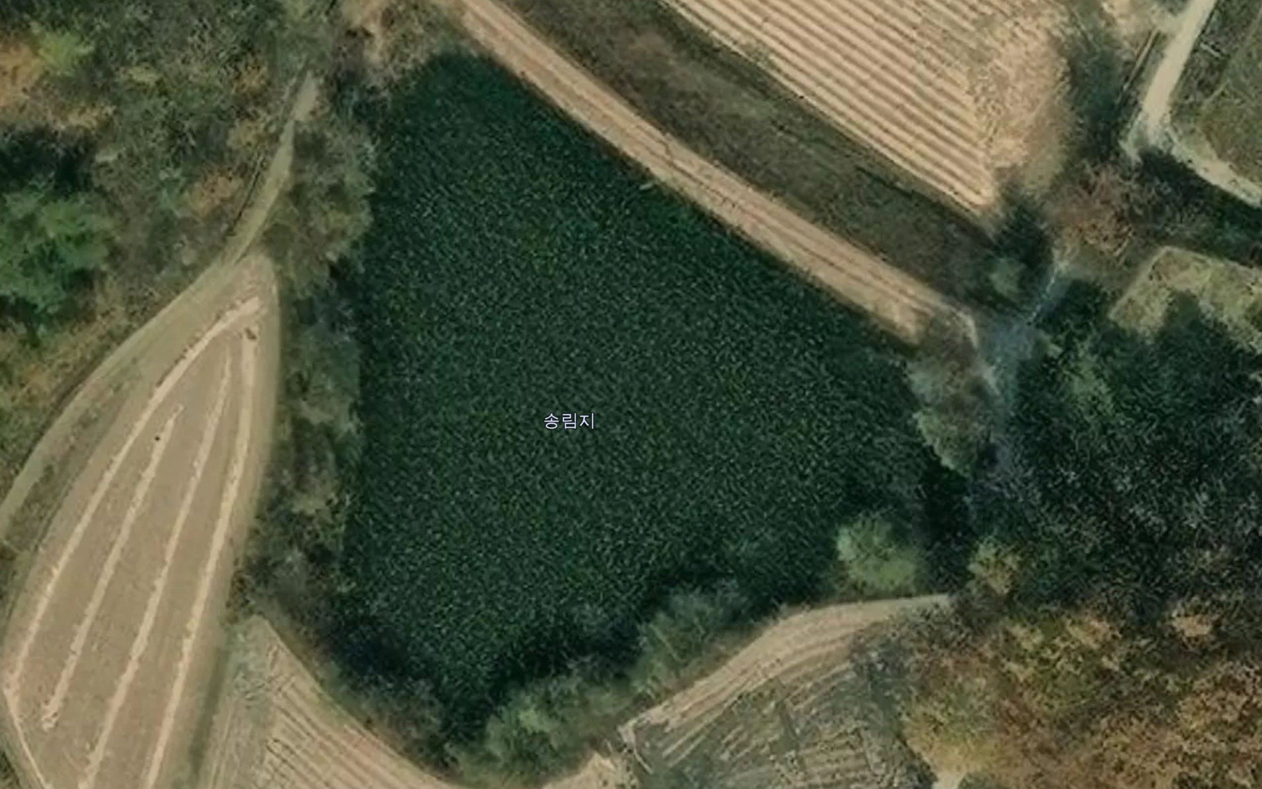 Songnimji