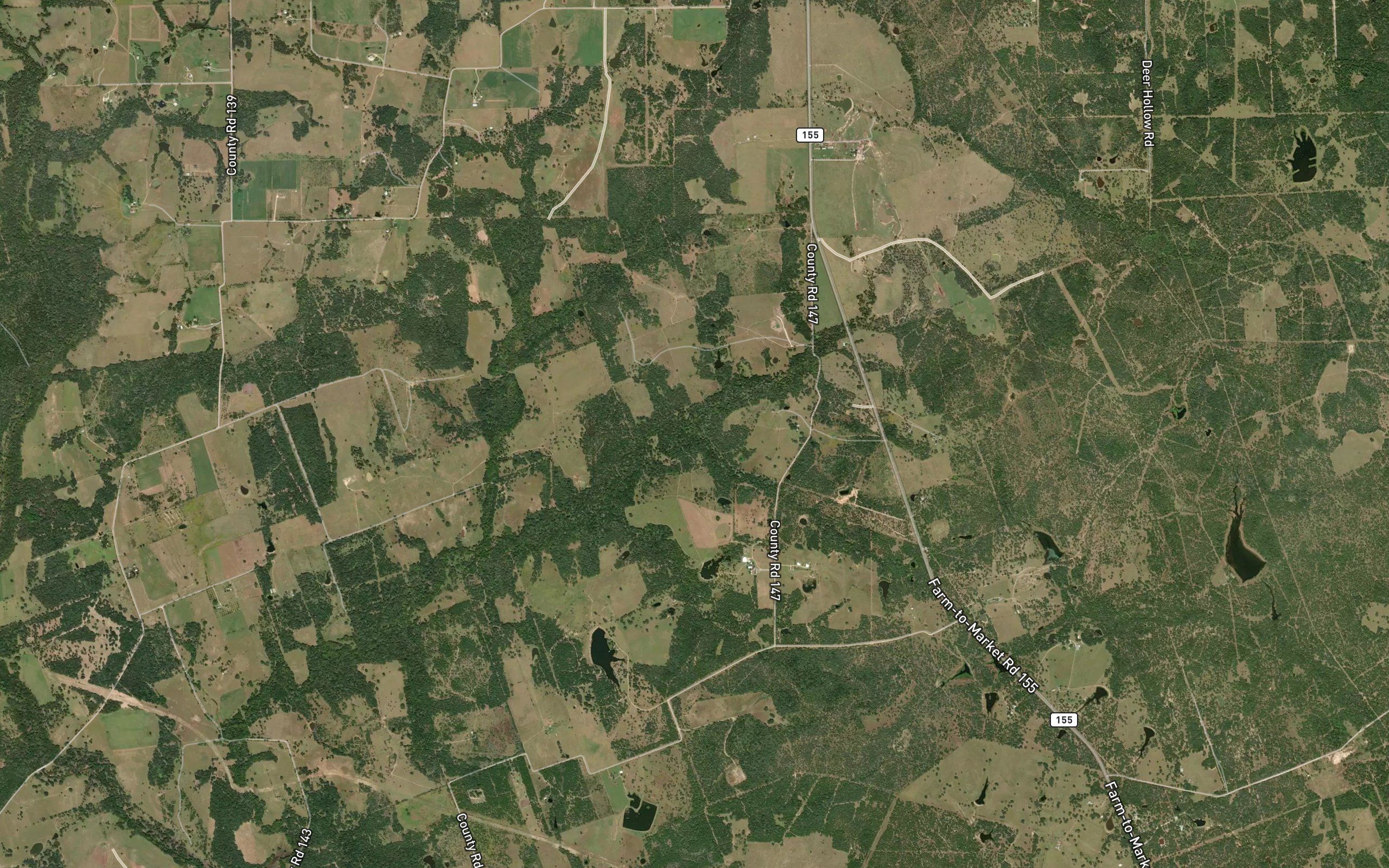 Smith Branch