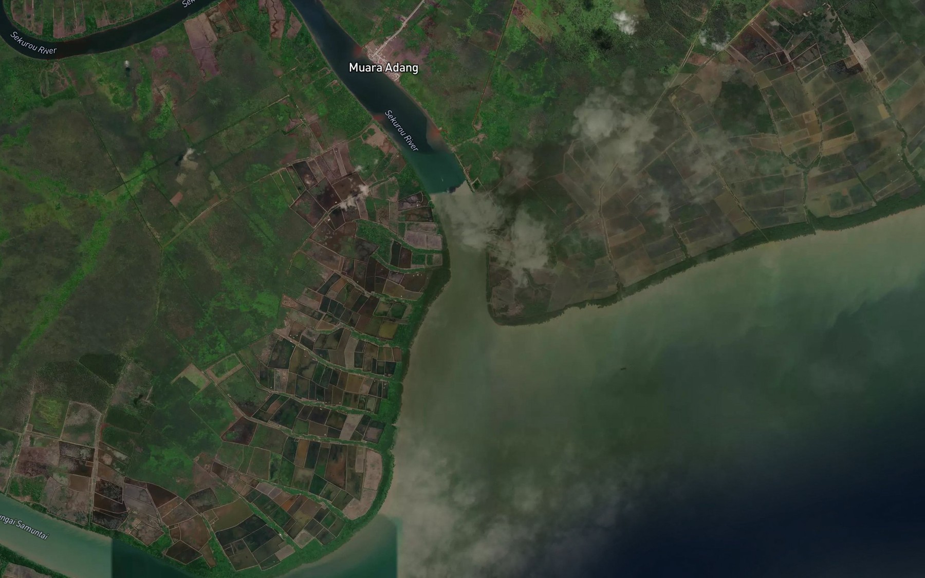 Satellite map of the Sungai Adang