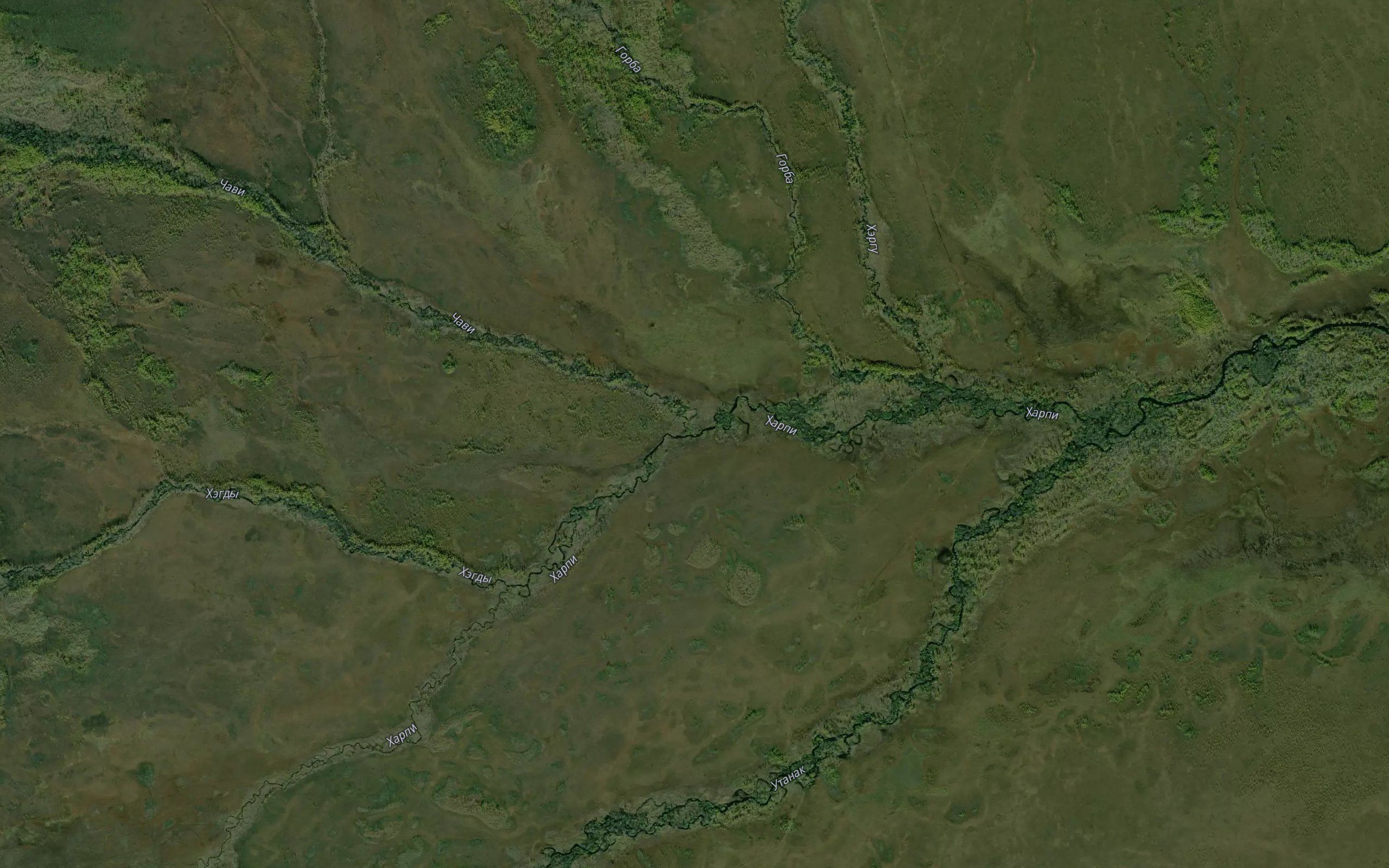 Chavi