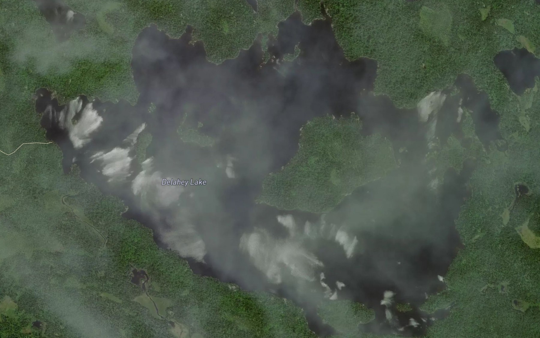 Satellite map of the Delahey Lake
