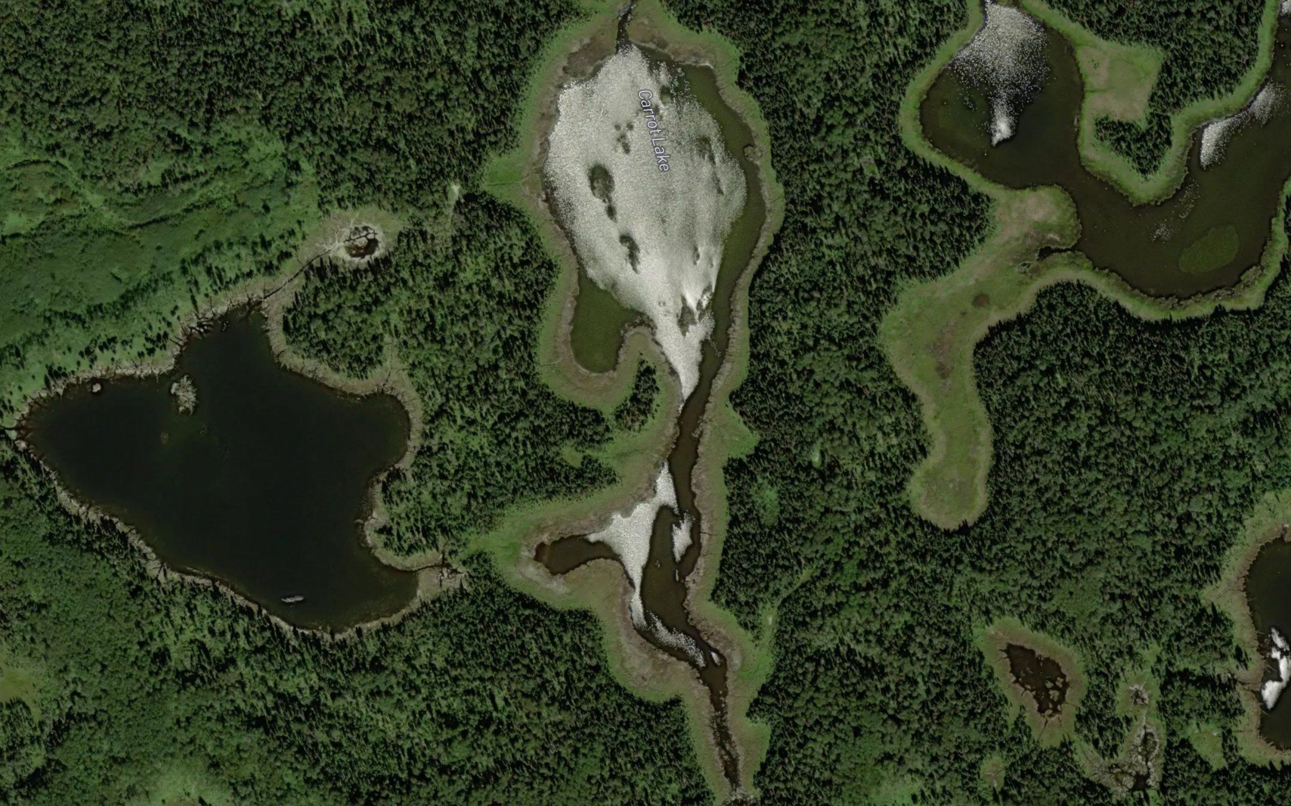 Carrot Lake