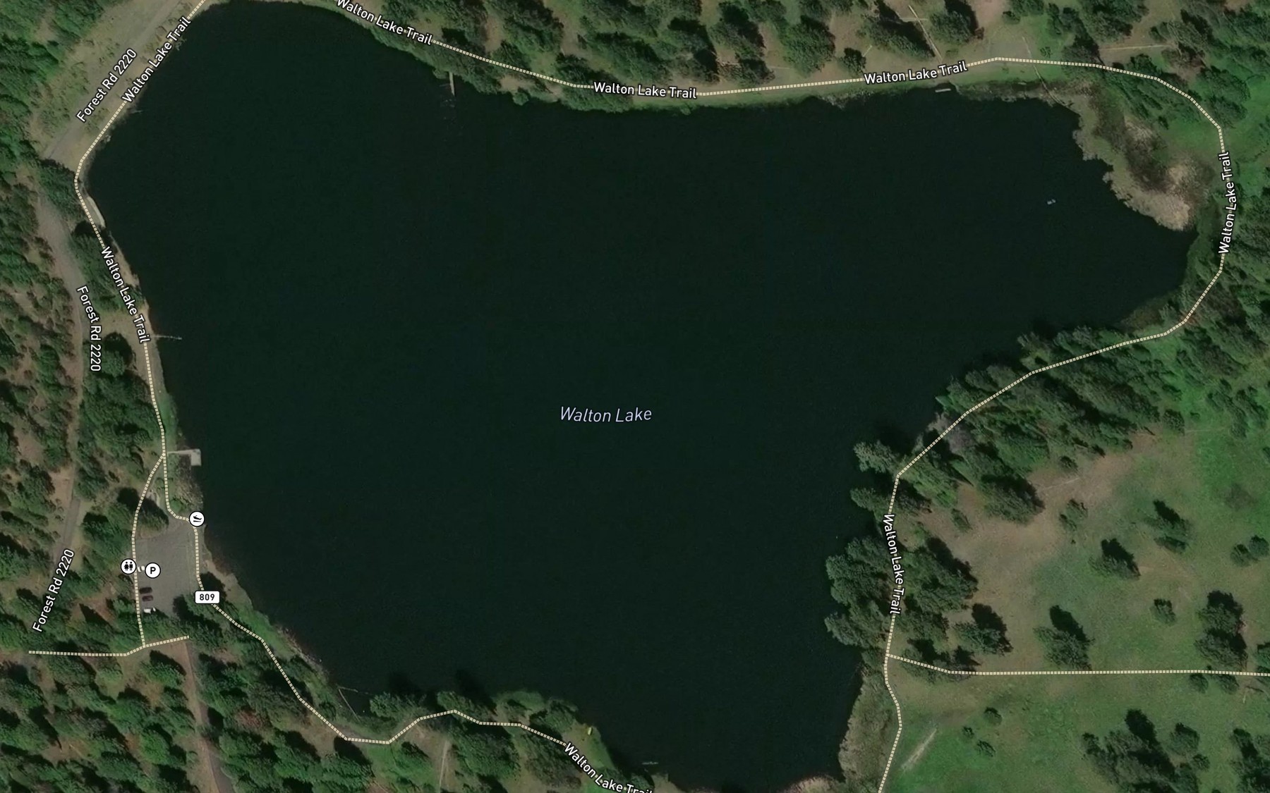 Satellite map of the Walton Lake