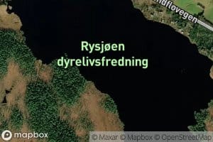 Rysjoen