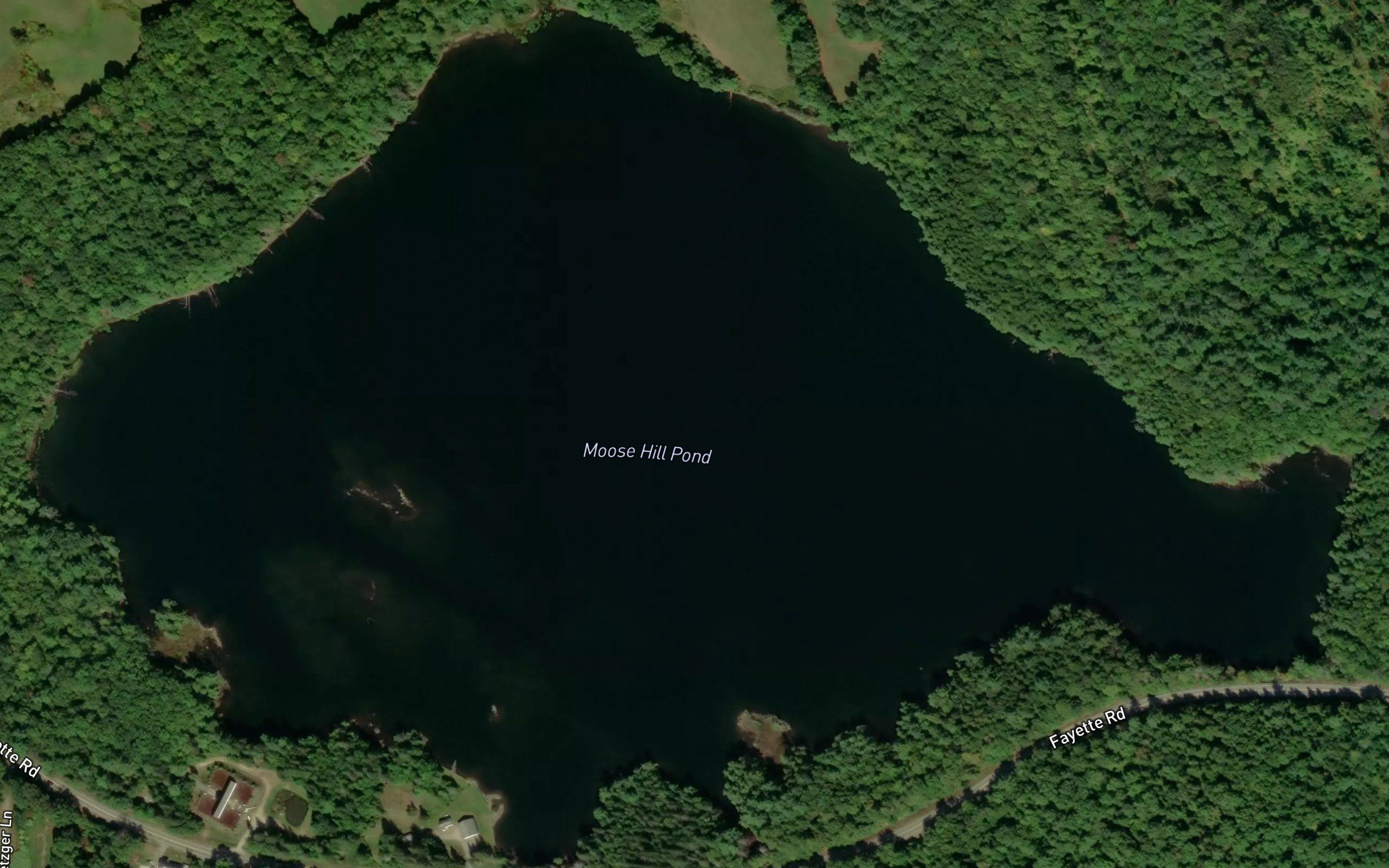 Moose Hill Pond