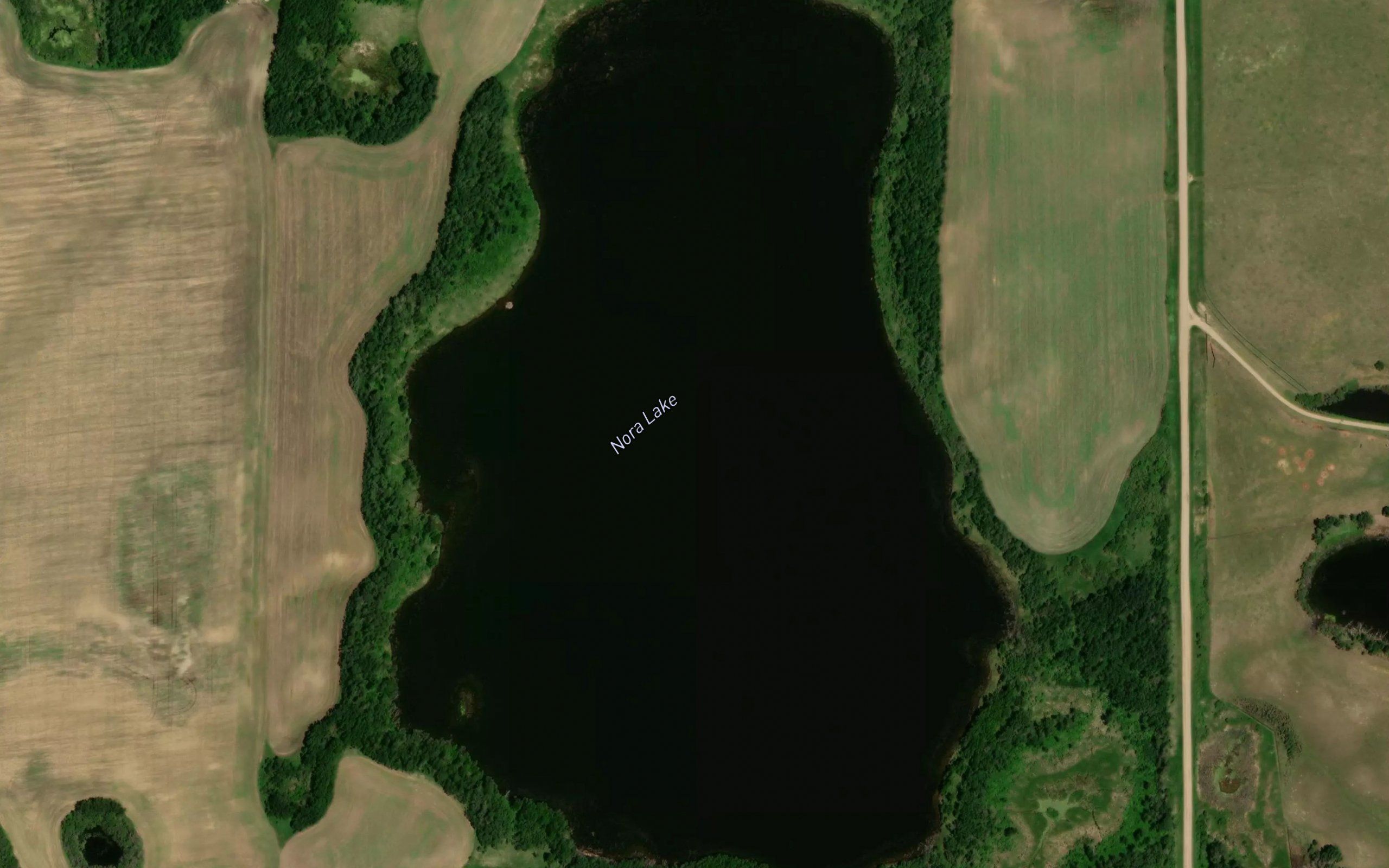 Nora Lake
