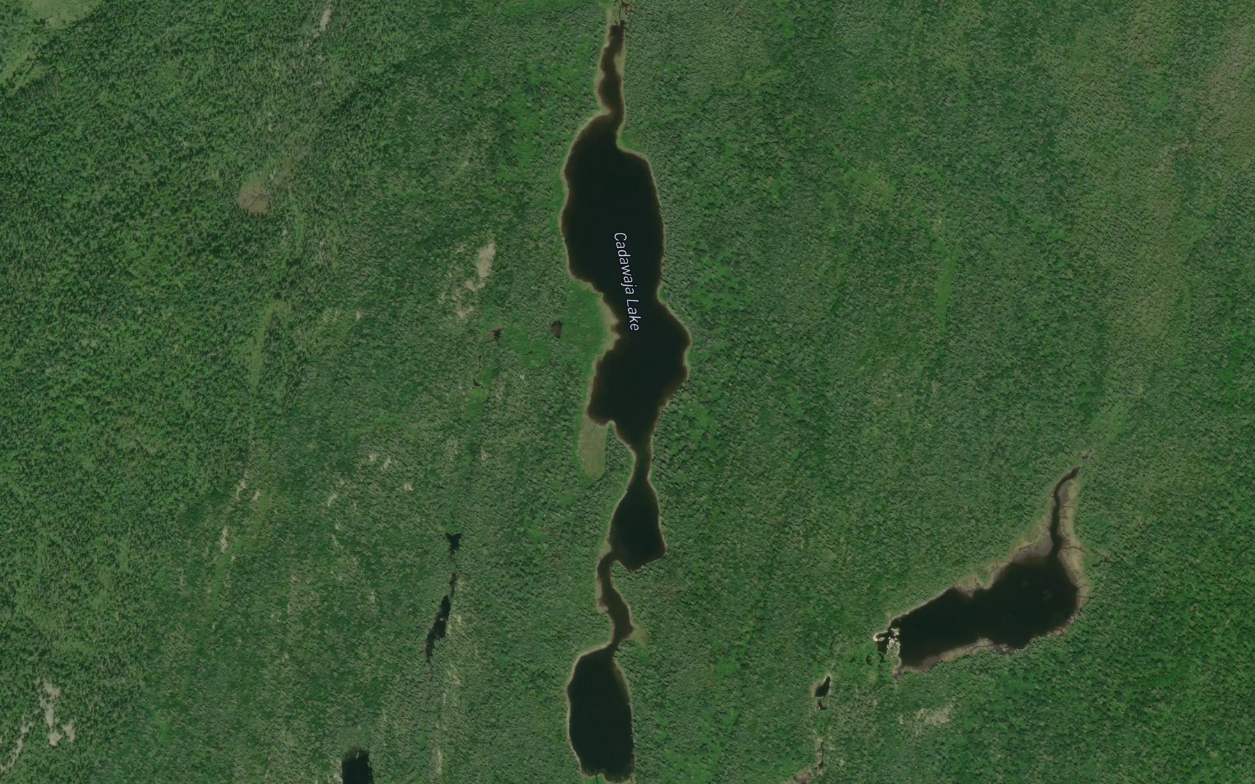 Satellite map of the Cadawaja Lake